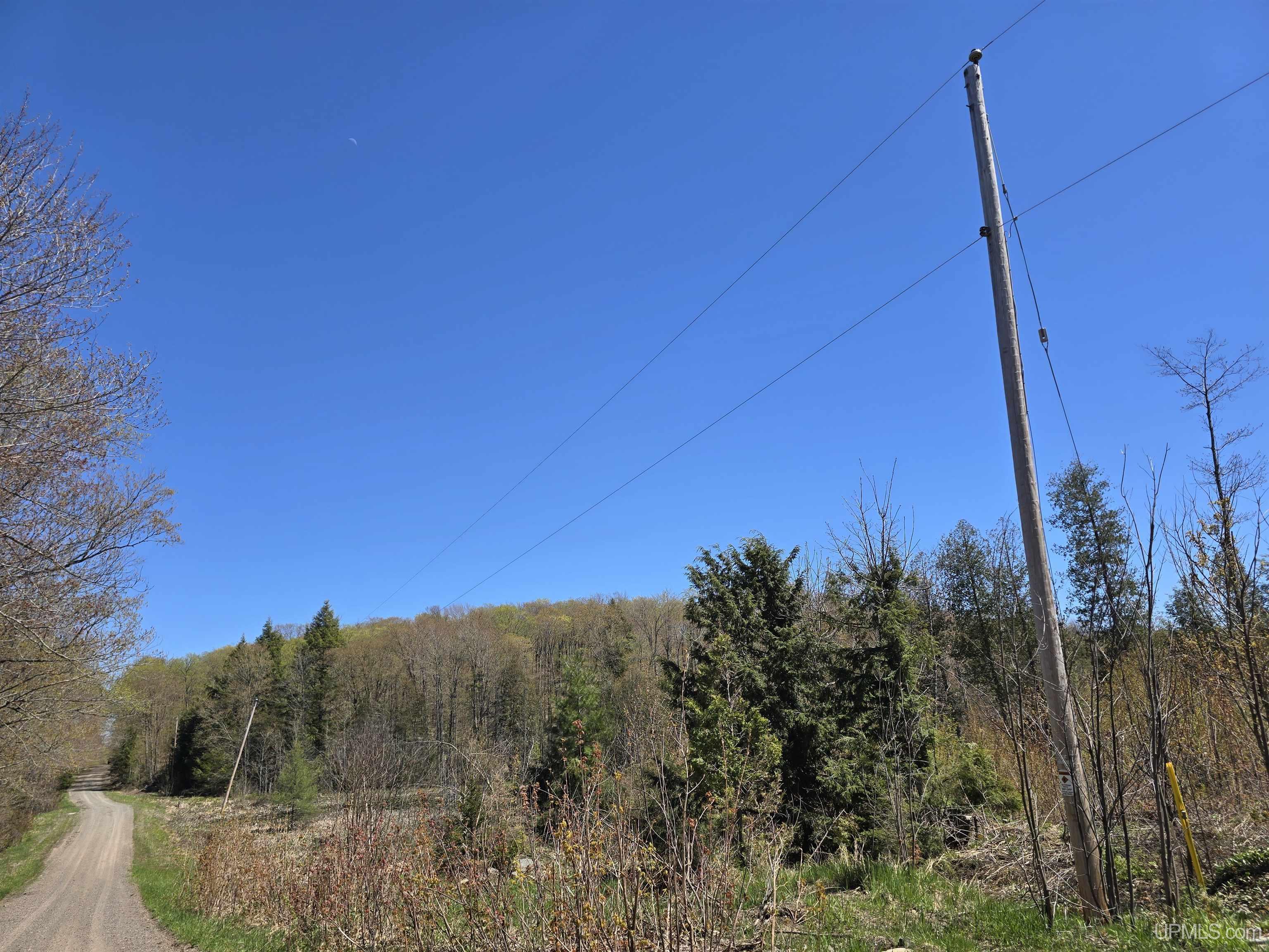 MLS 50208967 Large photo number 12 