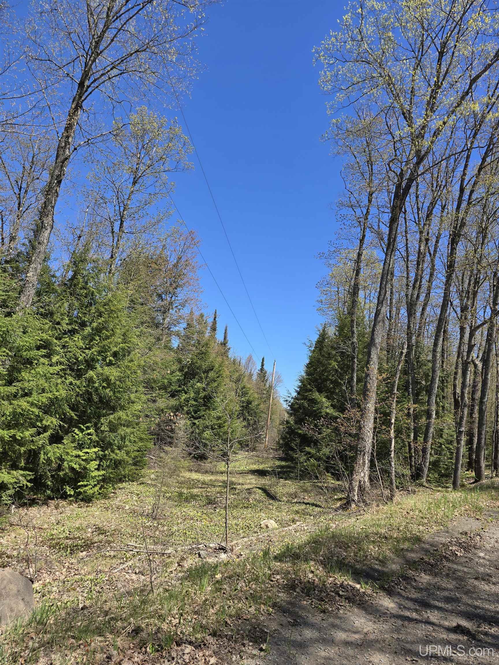 MLS 50208967 Large photo number 13 