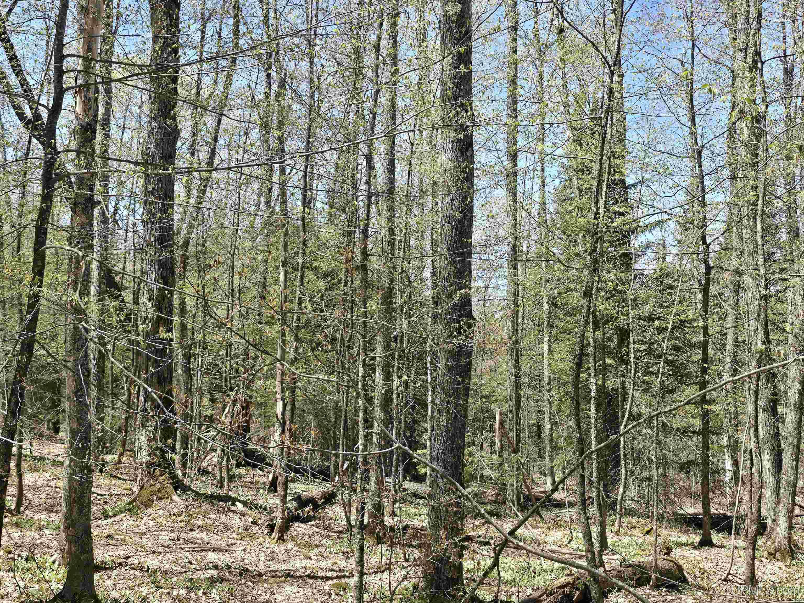 MLS 50208967 Large photo number 18 
