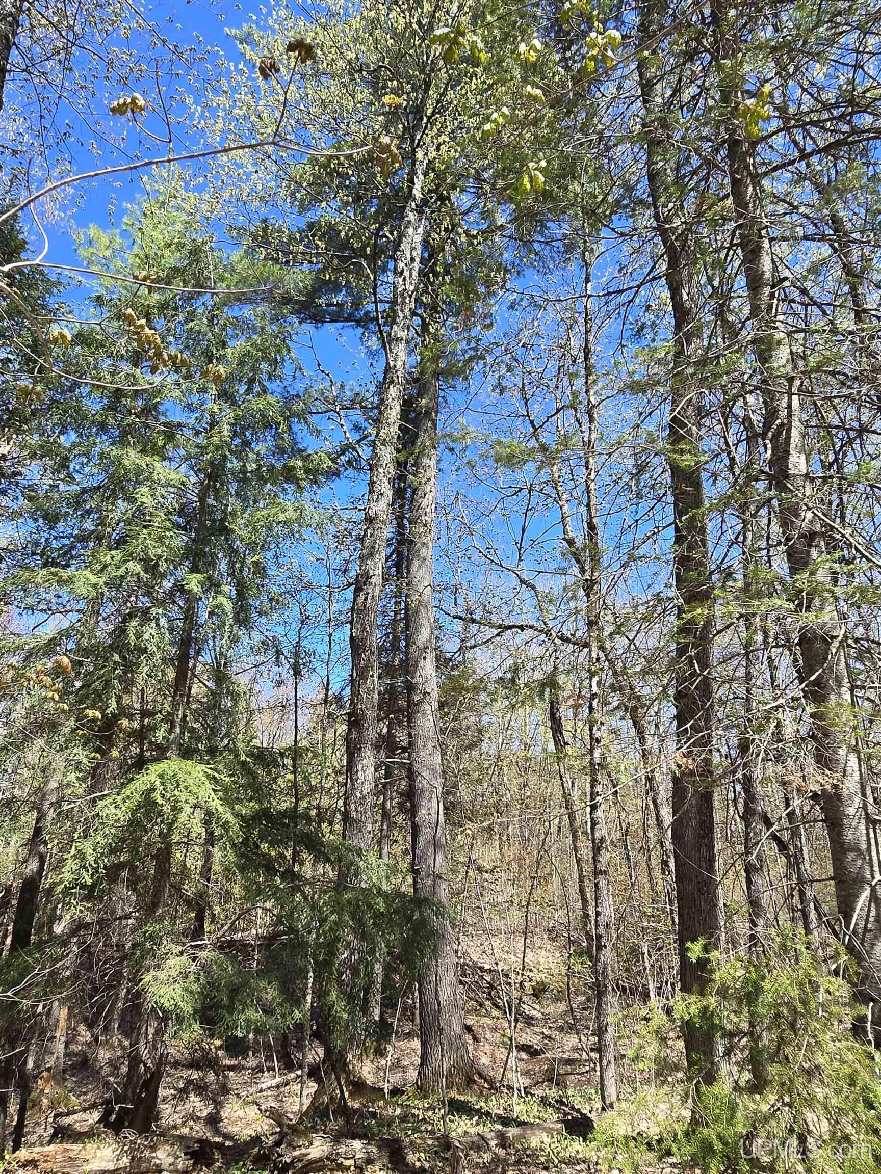 MLS 50208967 Large photo number 25 