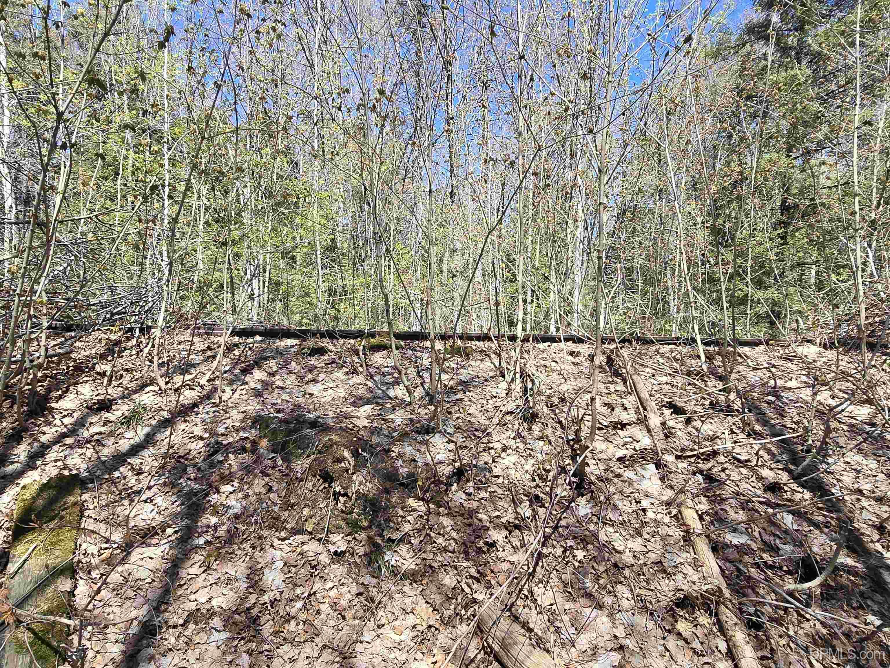 MLS 50208967 Large photo number 26 