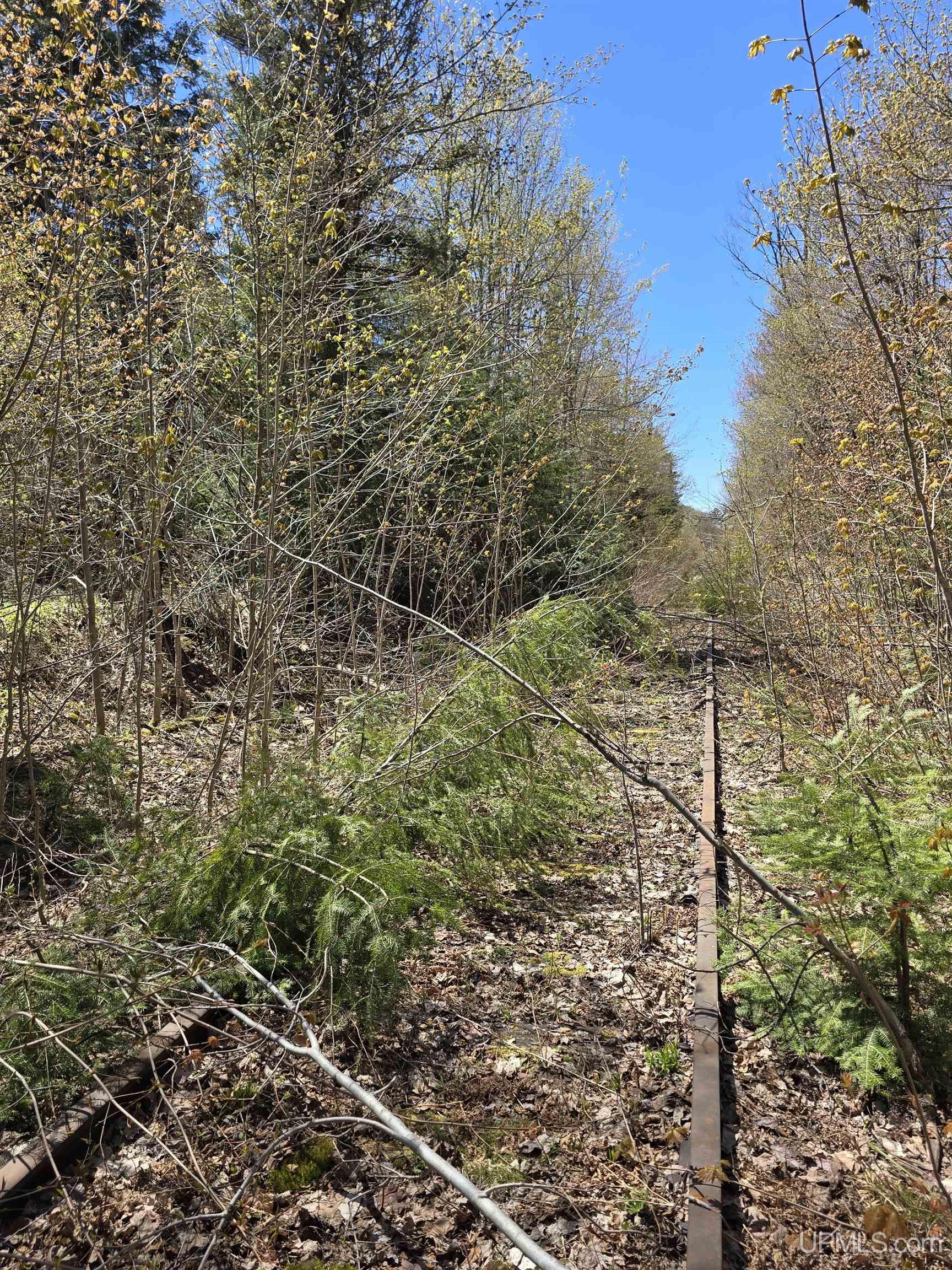 MLS 50208967 Large photo number 28 