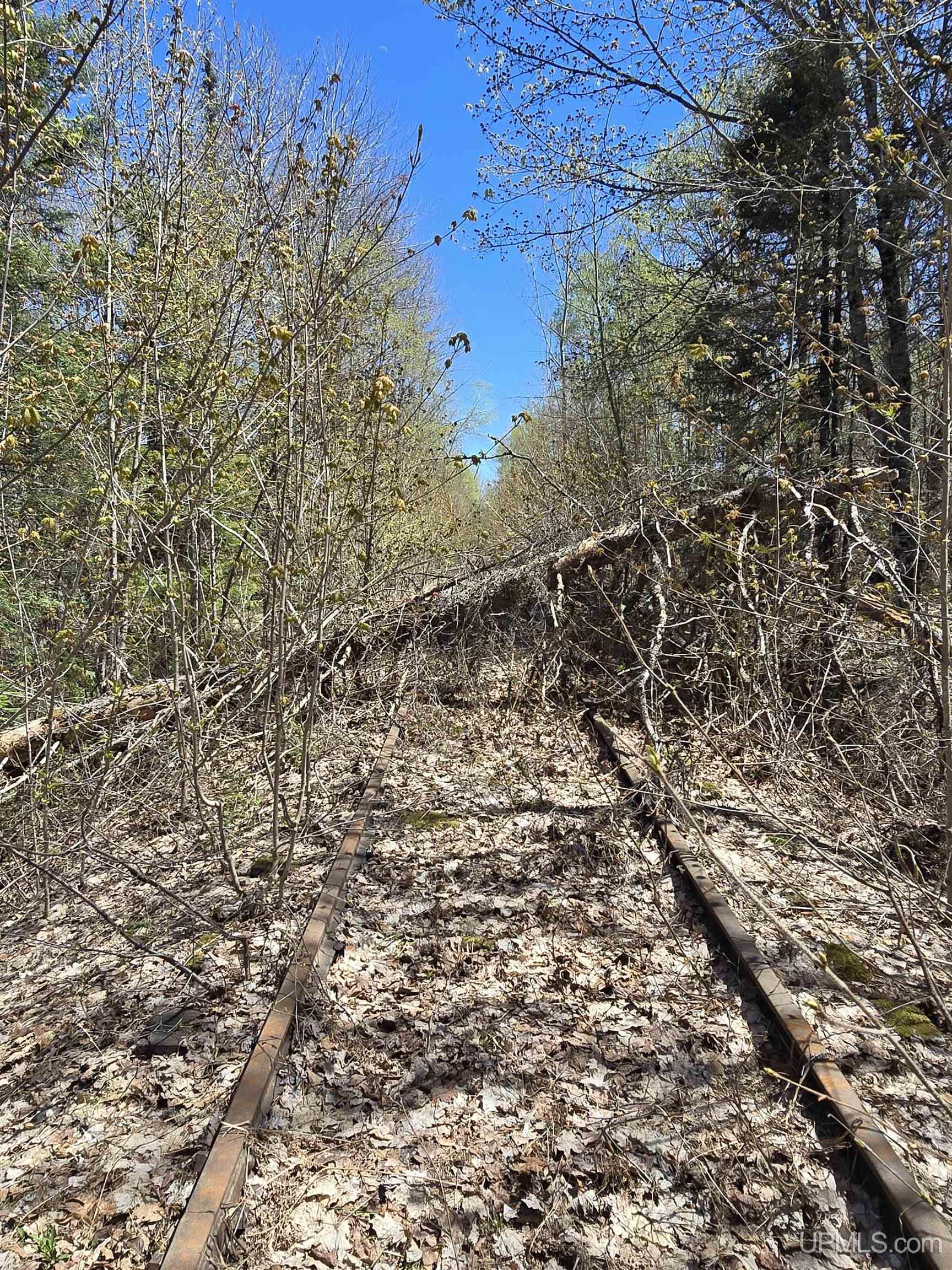 MLS 50208967 Large photo number 29 