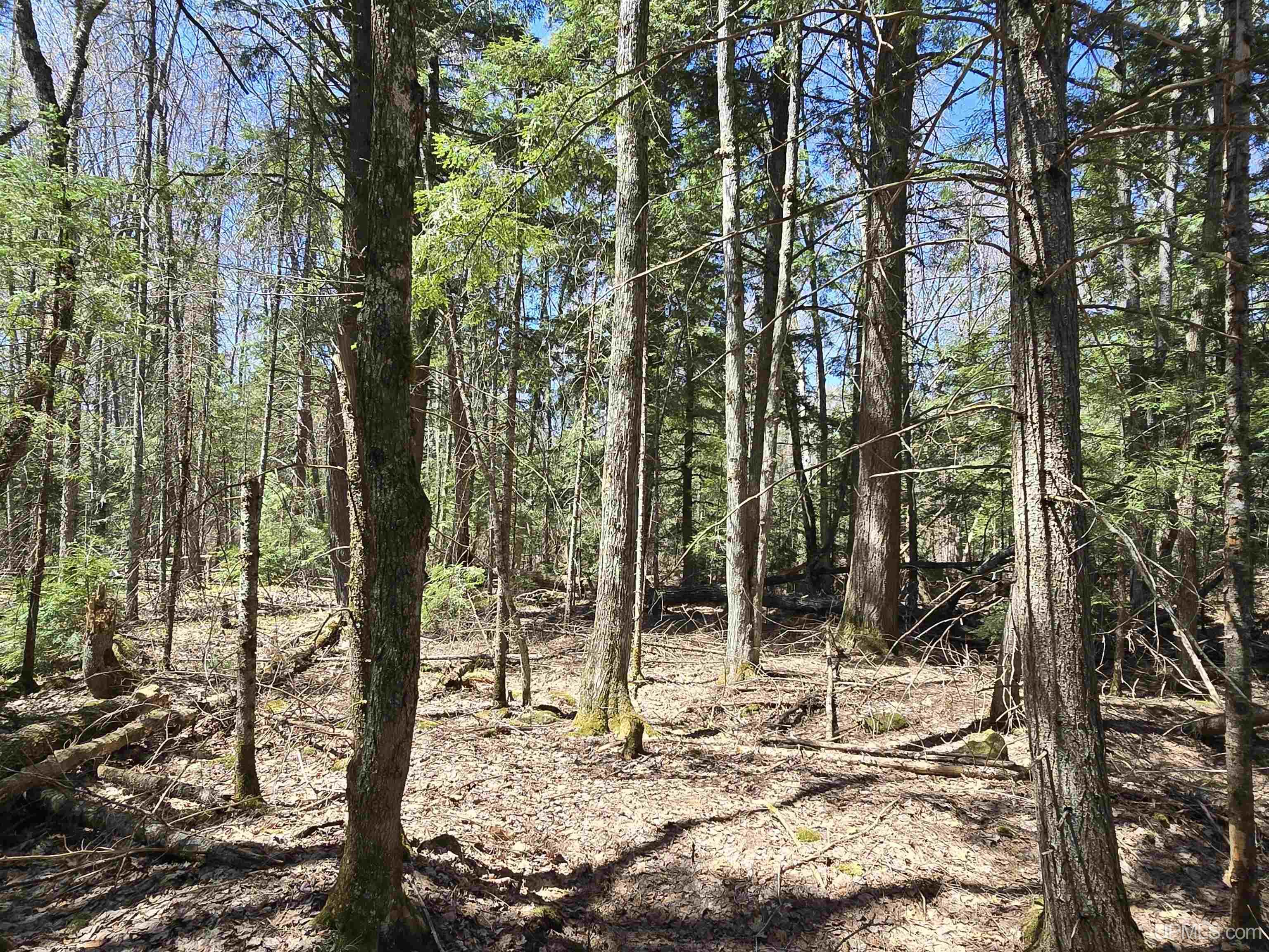MLS 50208967 Large photo number 30 