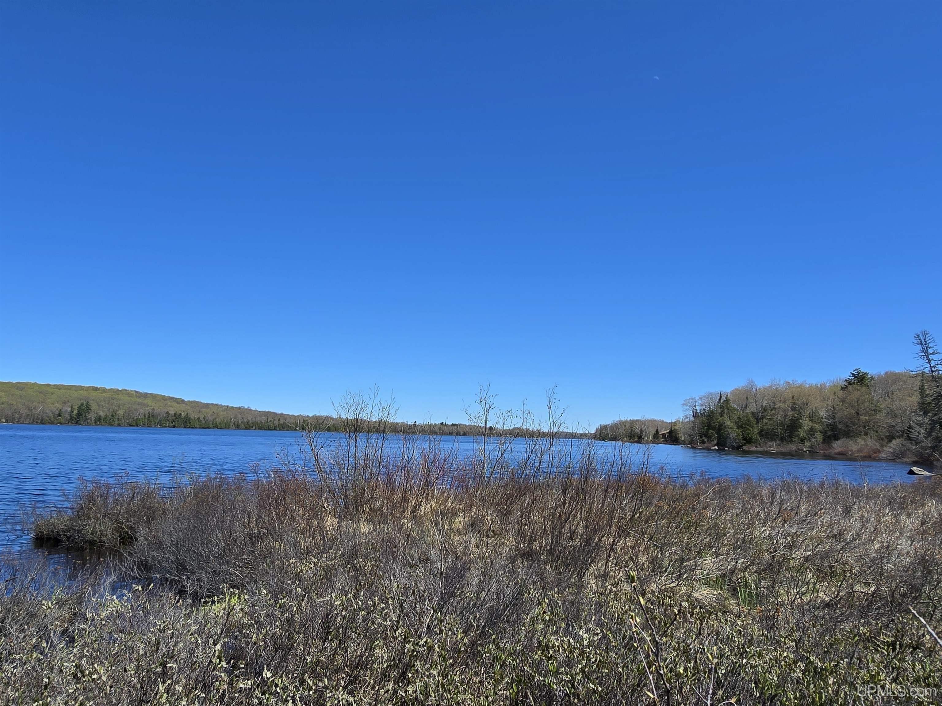 MLS 50208967 Large photo number 4 