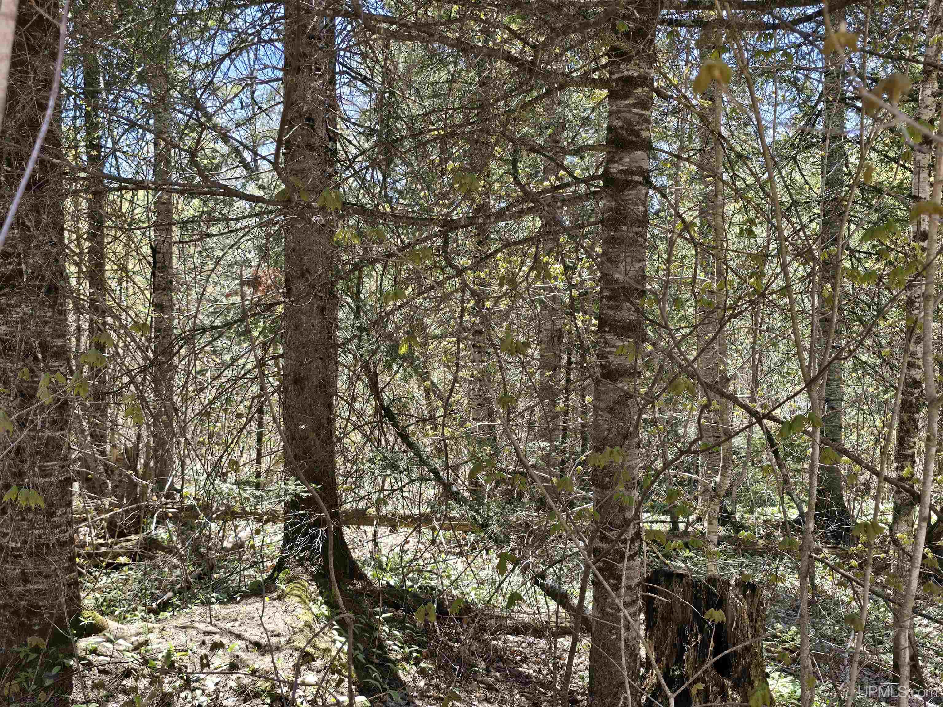 MLS 50208967 Large photo number 34 
