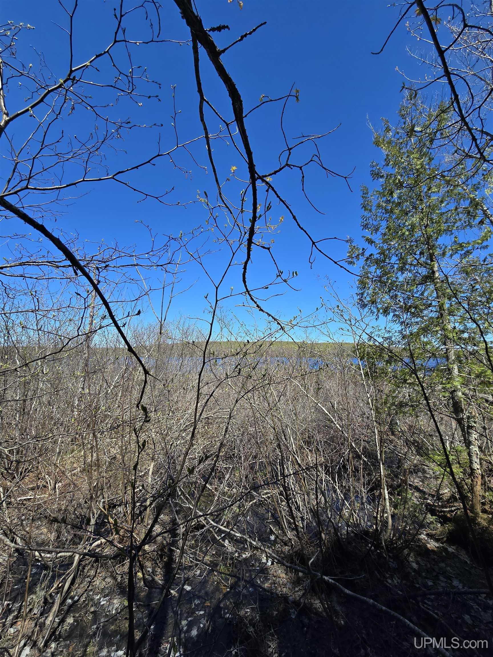 MLS 50208967 Large photo number 37 