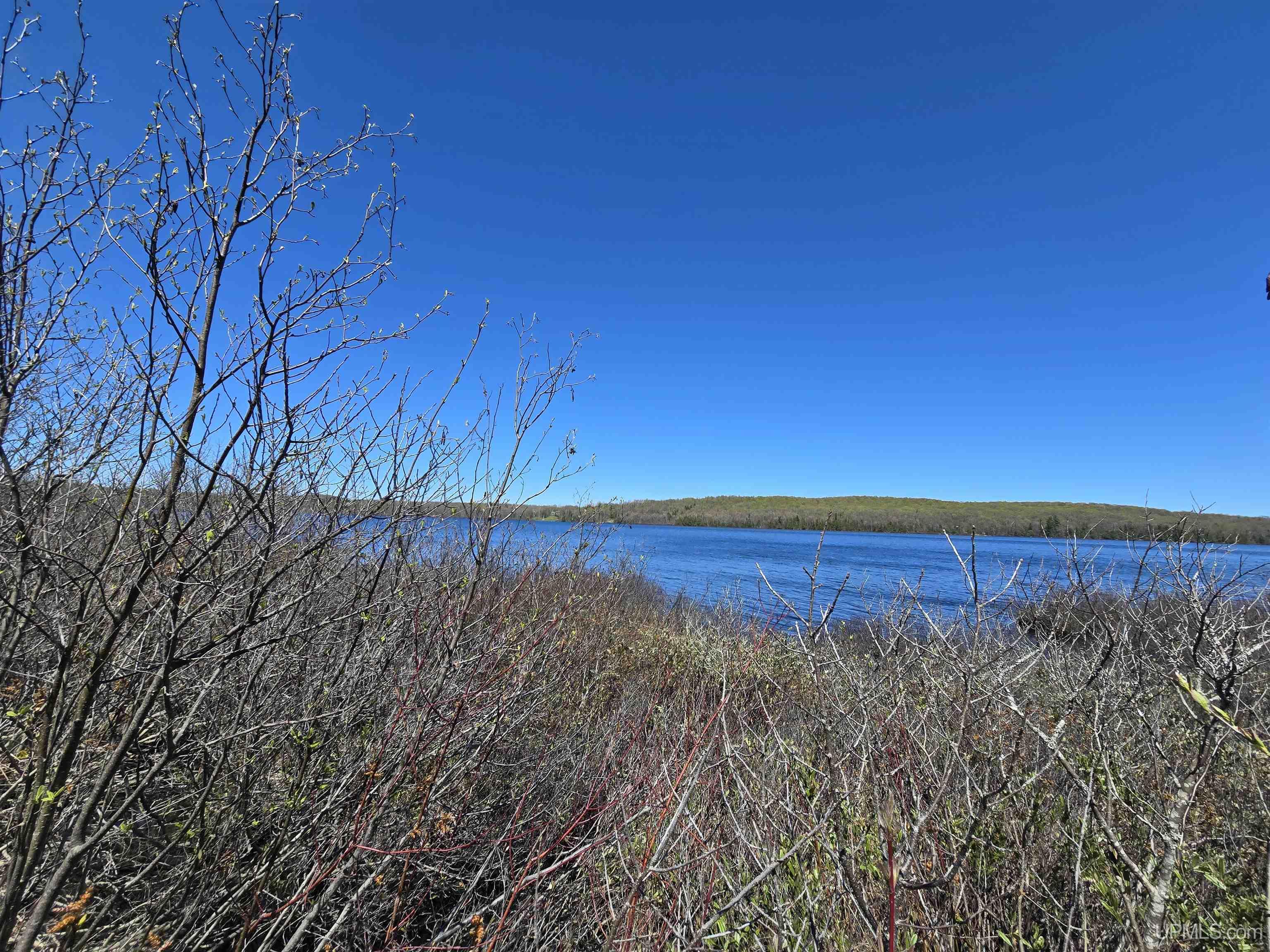 MLS 50208967 Large photo number 5 