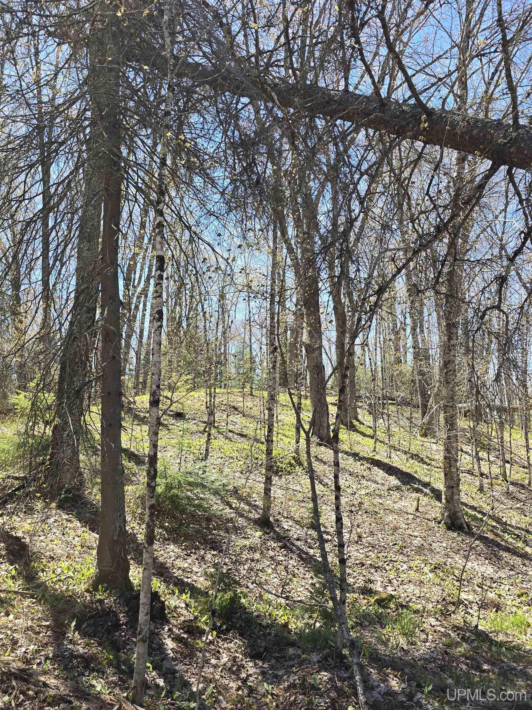 MLS 50208967 Large photo number 41 