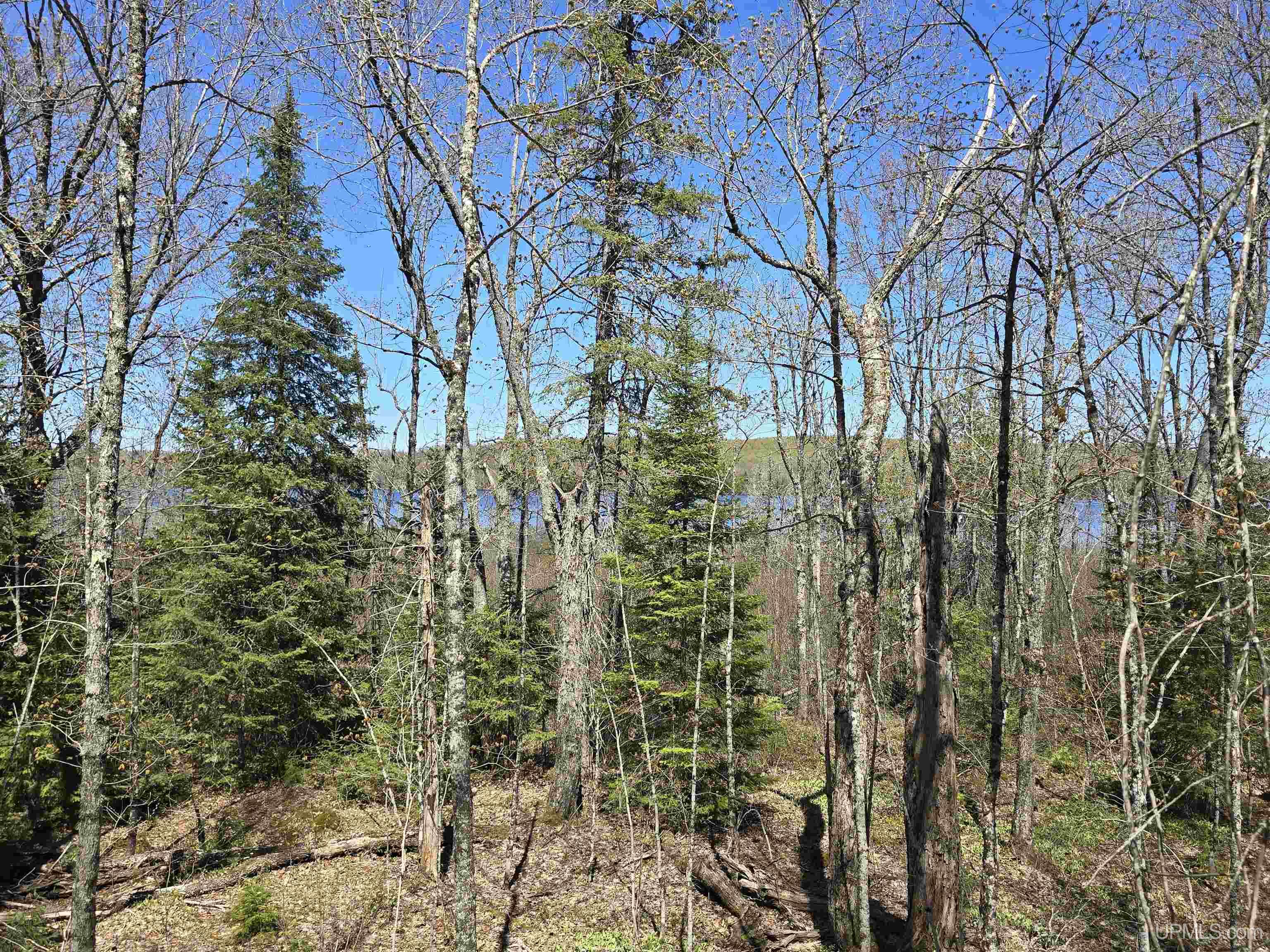 MLS 50208967 Large photo number 42 