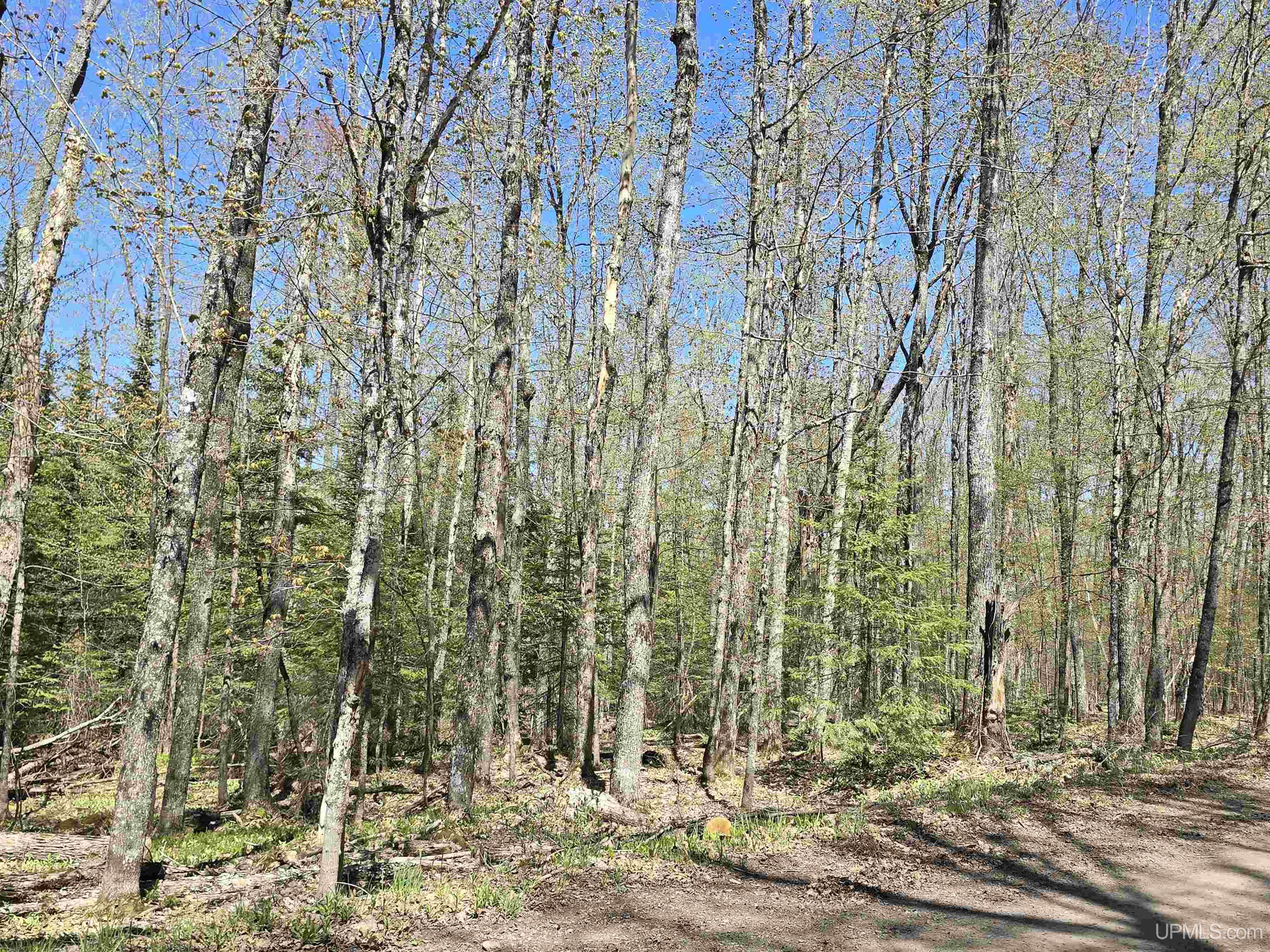 MLS 50208967 Large photo number 54 