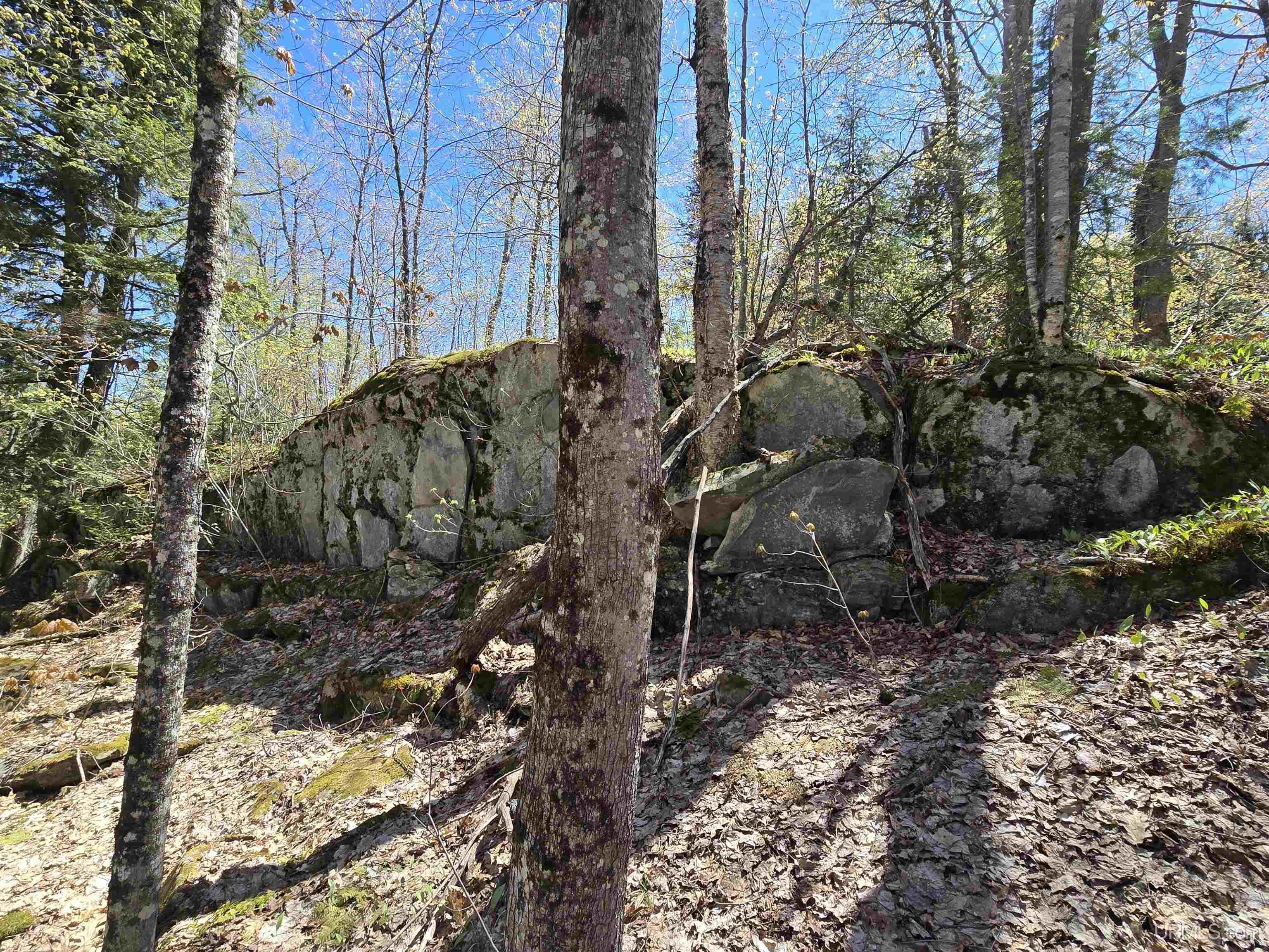 MLS 50208967 Large photo number 56 