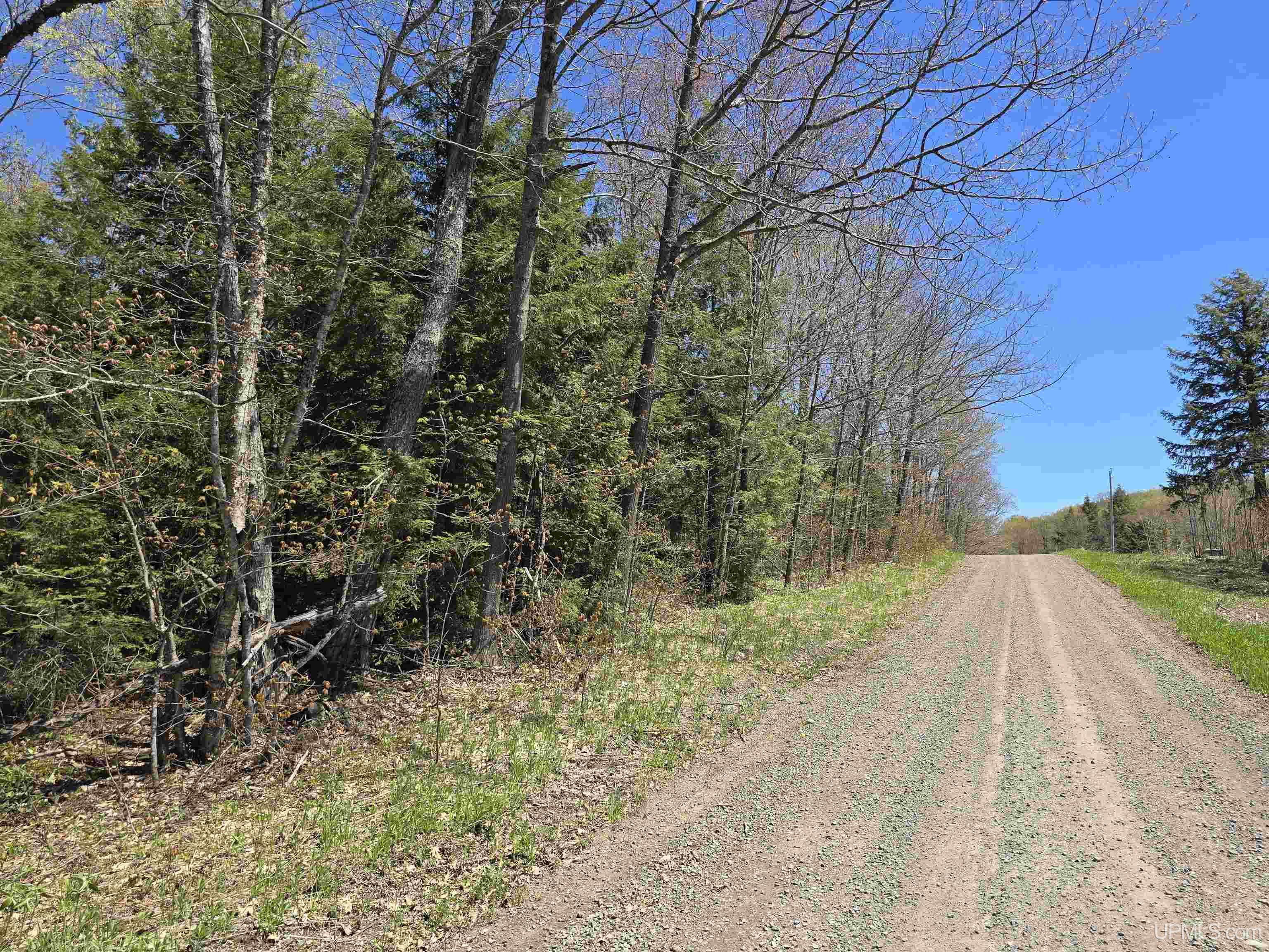 MLS 50208967 Large photo number 7 