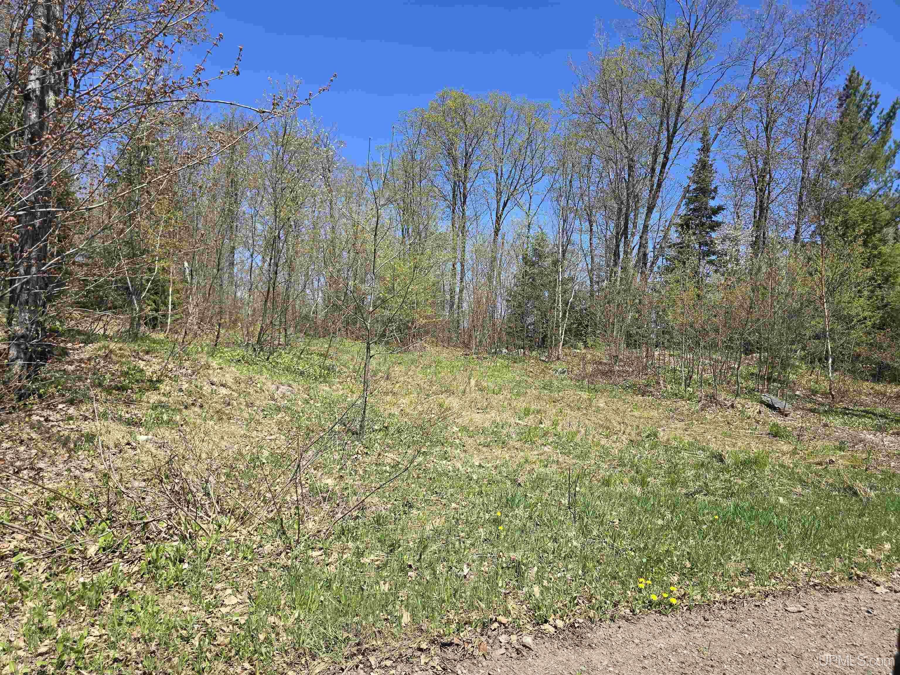 MLS 50208967 Large photo number 8 