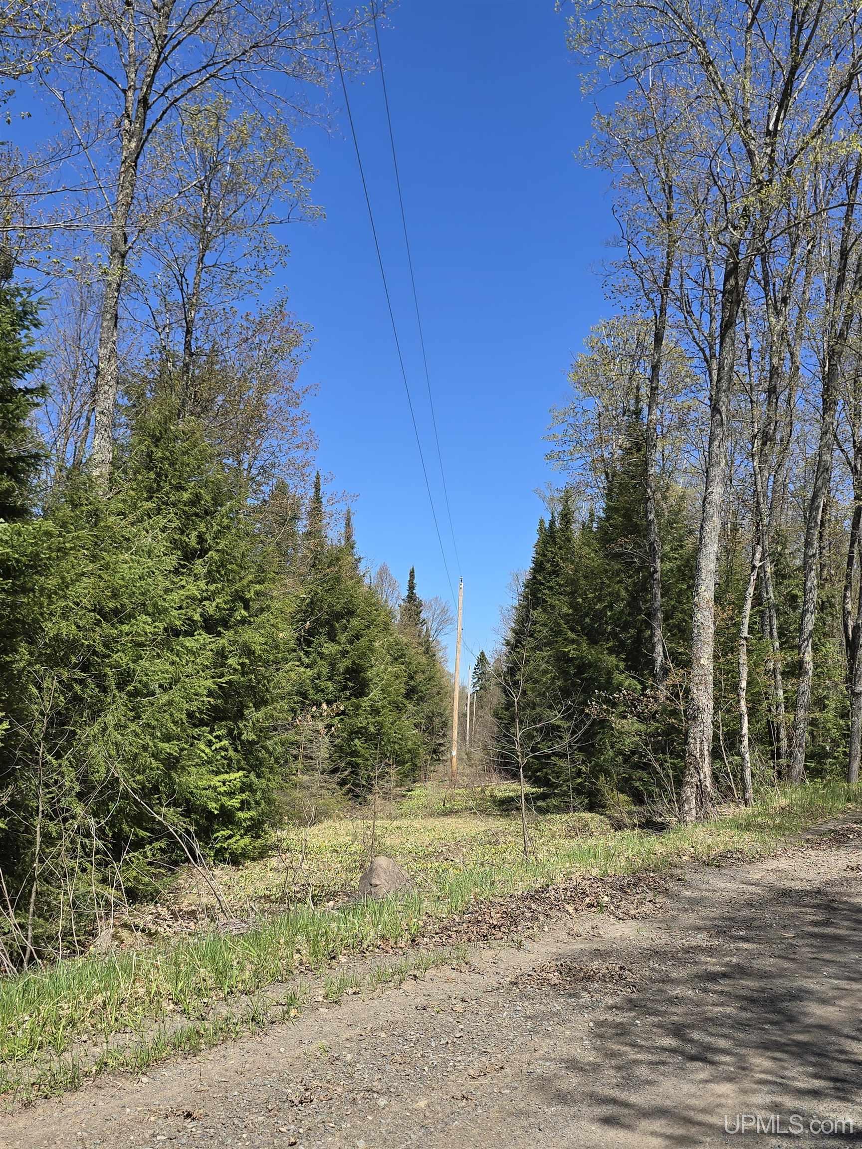 MLS 50208967 Large photo number 9 