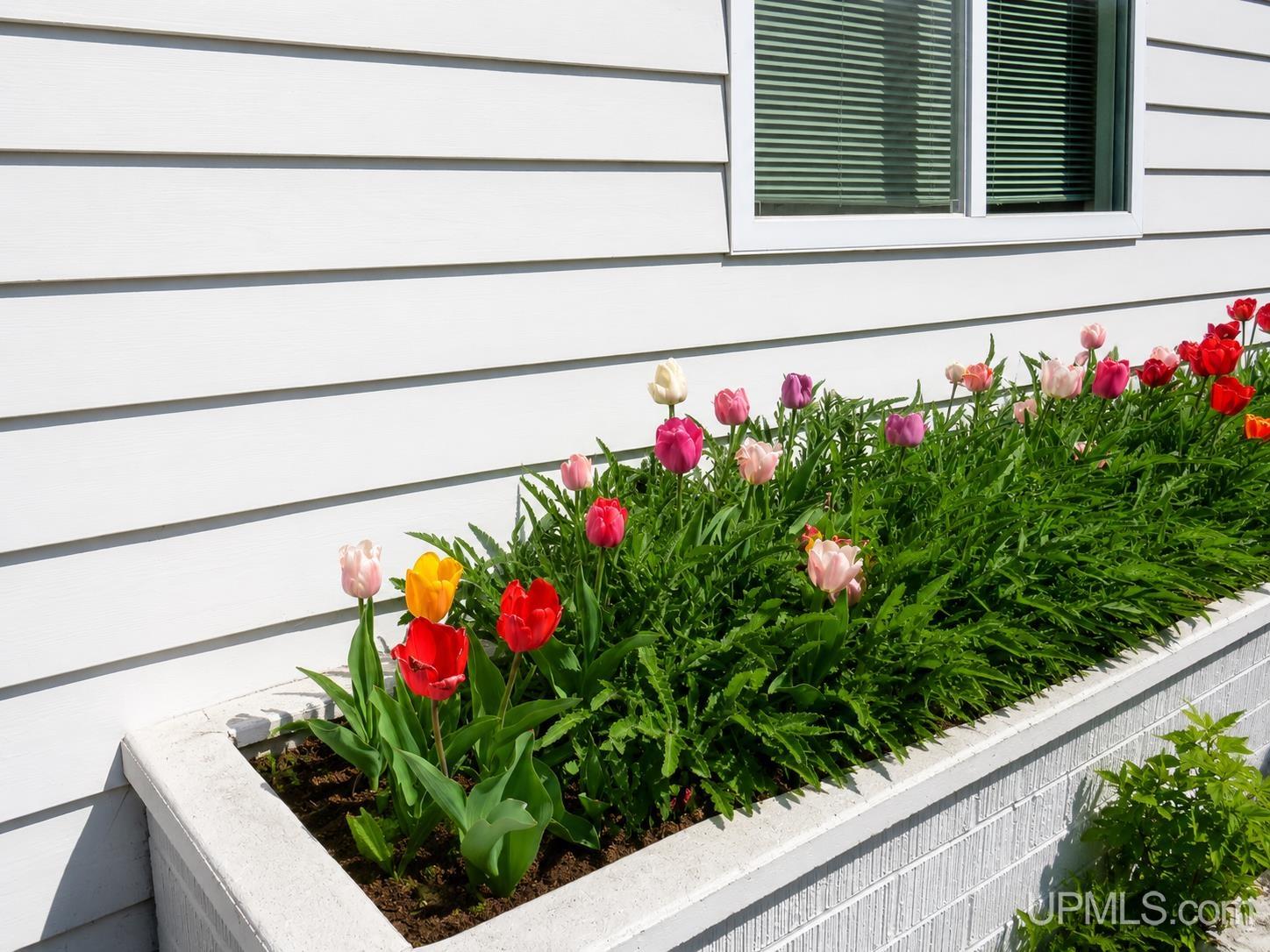 MLS 50209111 Large photo number 10 