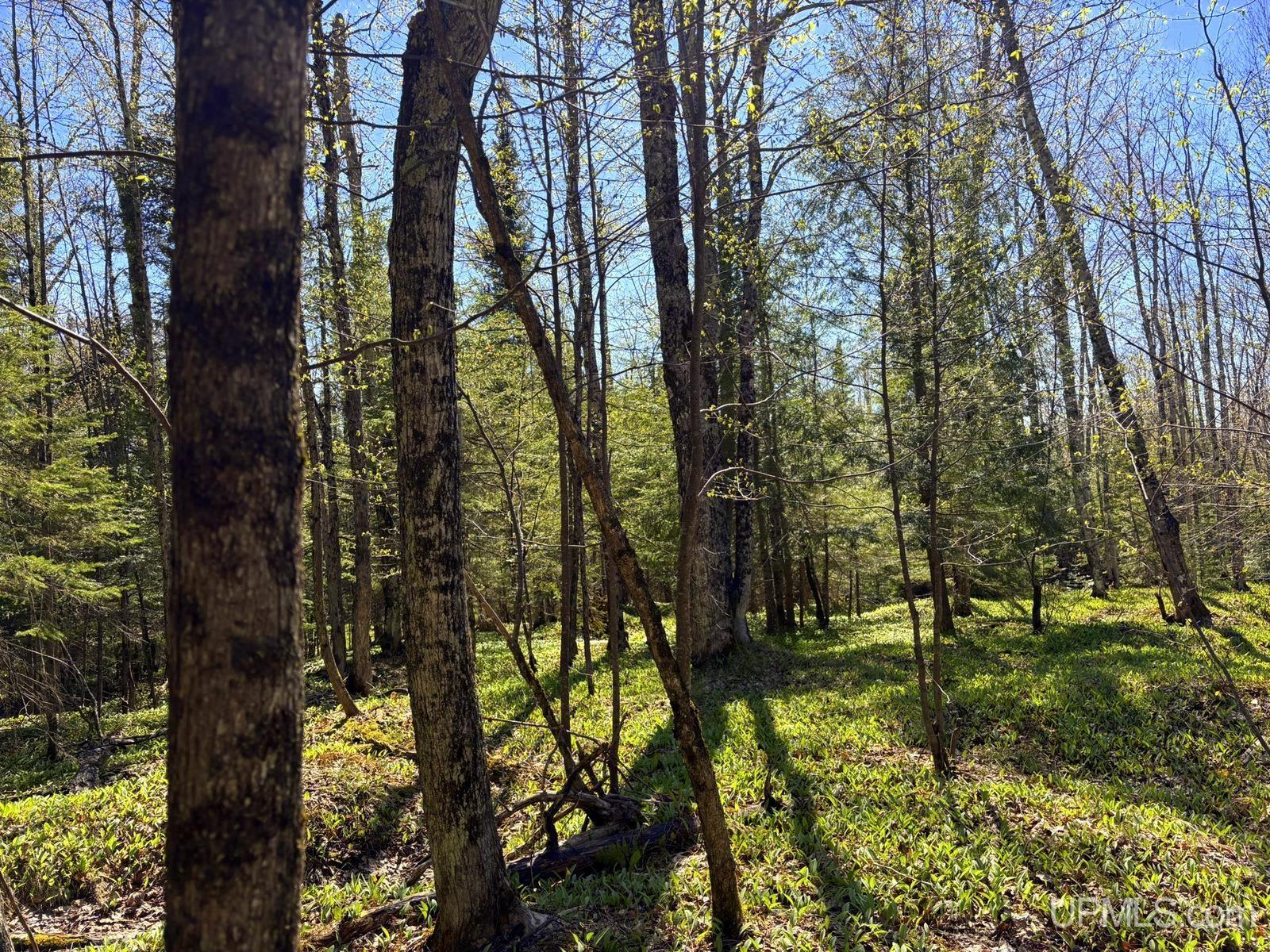 TBD Townline Road, Skandia MI 49855, 50209117