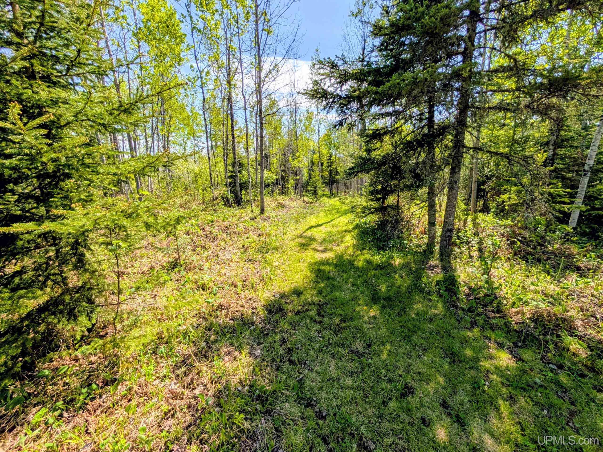 MLS 50209166 Large photo number 29 