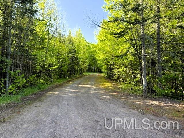 MLS 50209420 Large photo number 34 