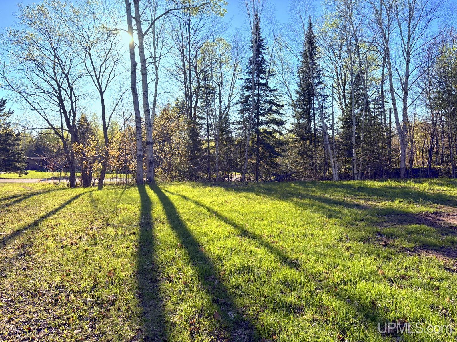 159 Kreiger Drive, Skandia MI 49885, 50209421