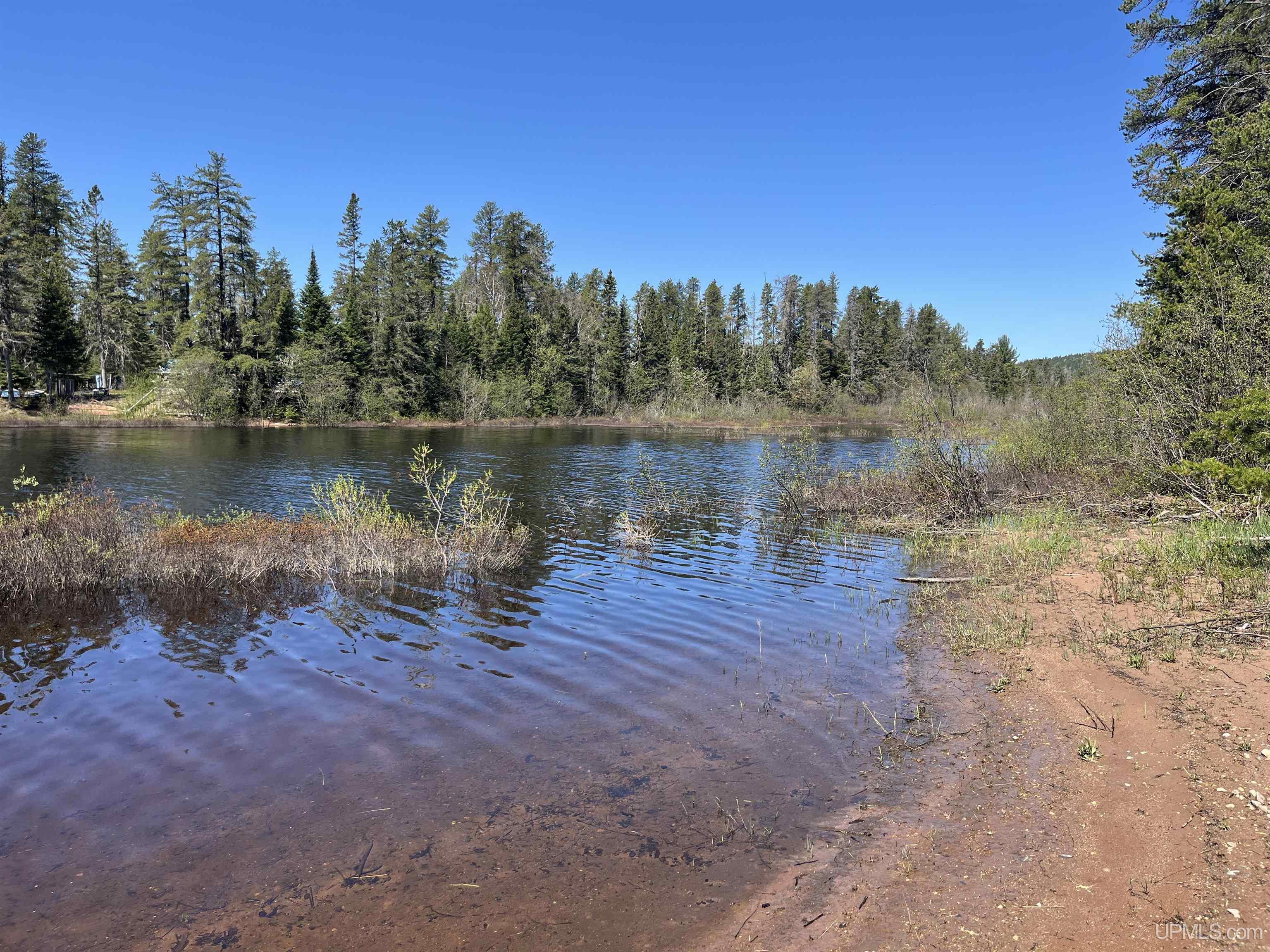MLS 50209464 Large photo number 39 