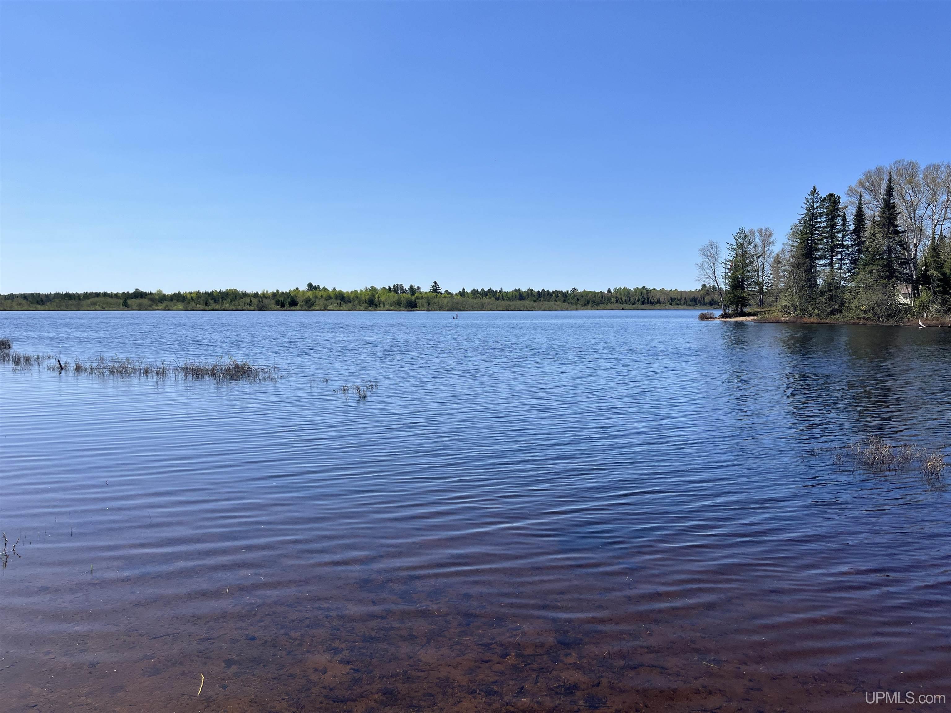 MLS 50209464 Large photo number 7 