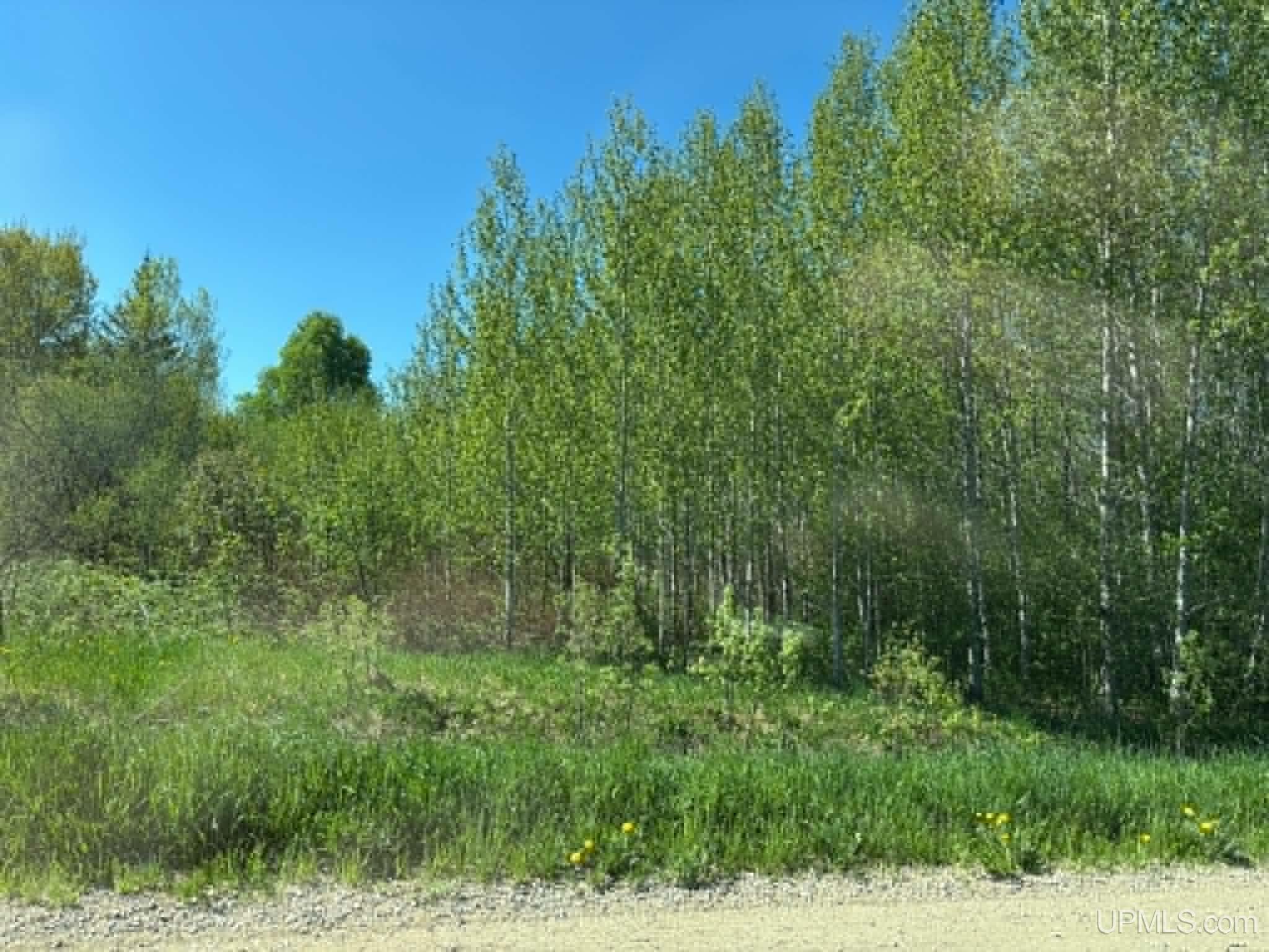 MLS 50209515 Large photo number 4 