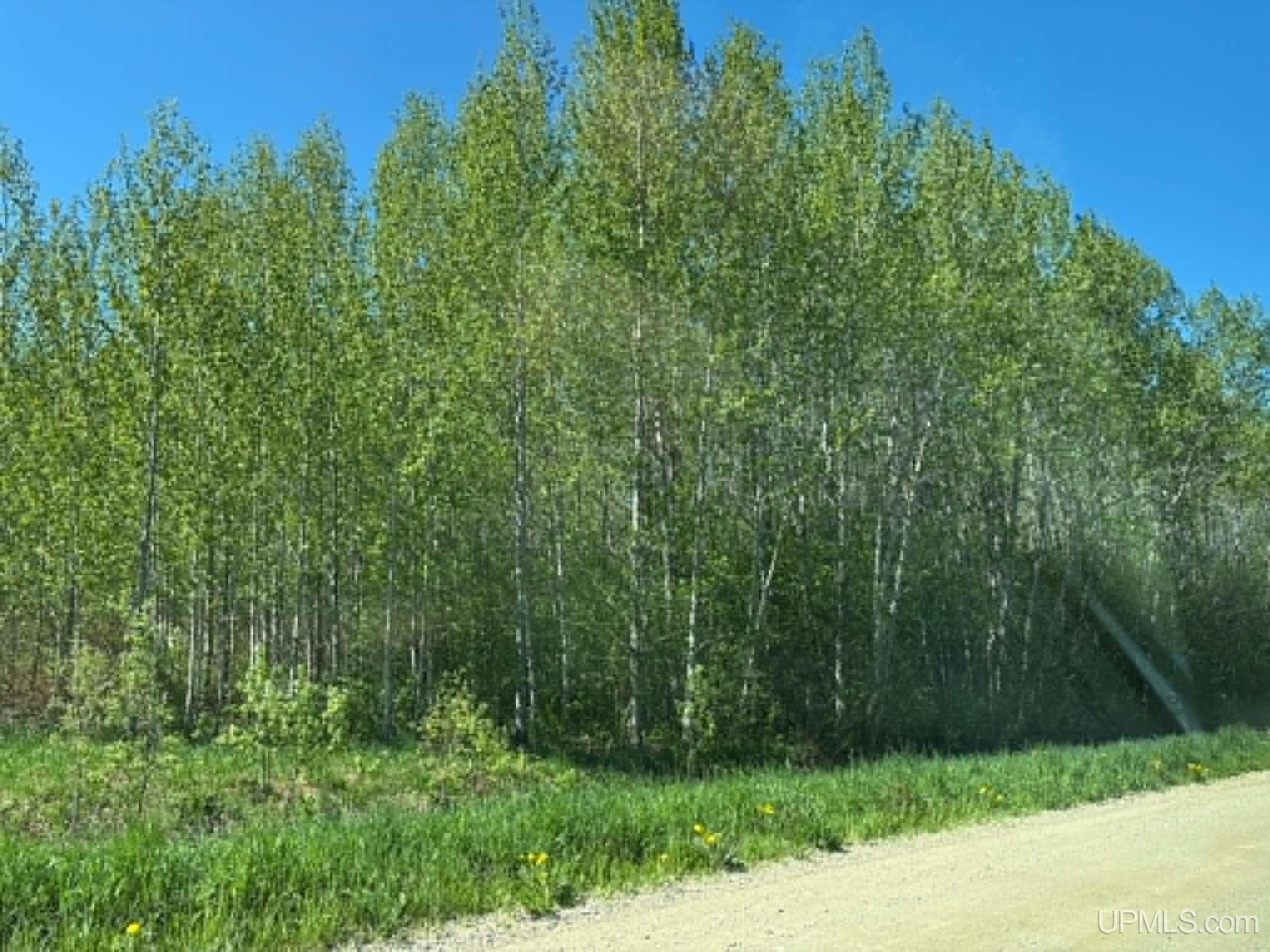 MLS 50209515 Large photo number 7 