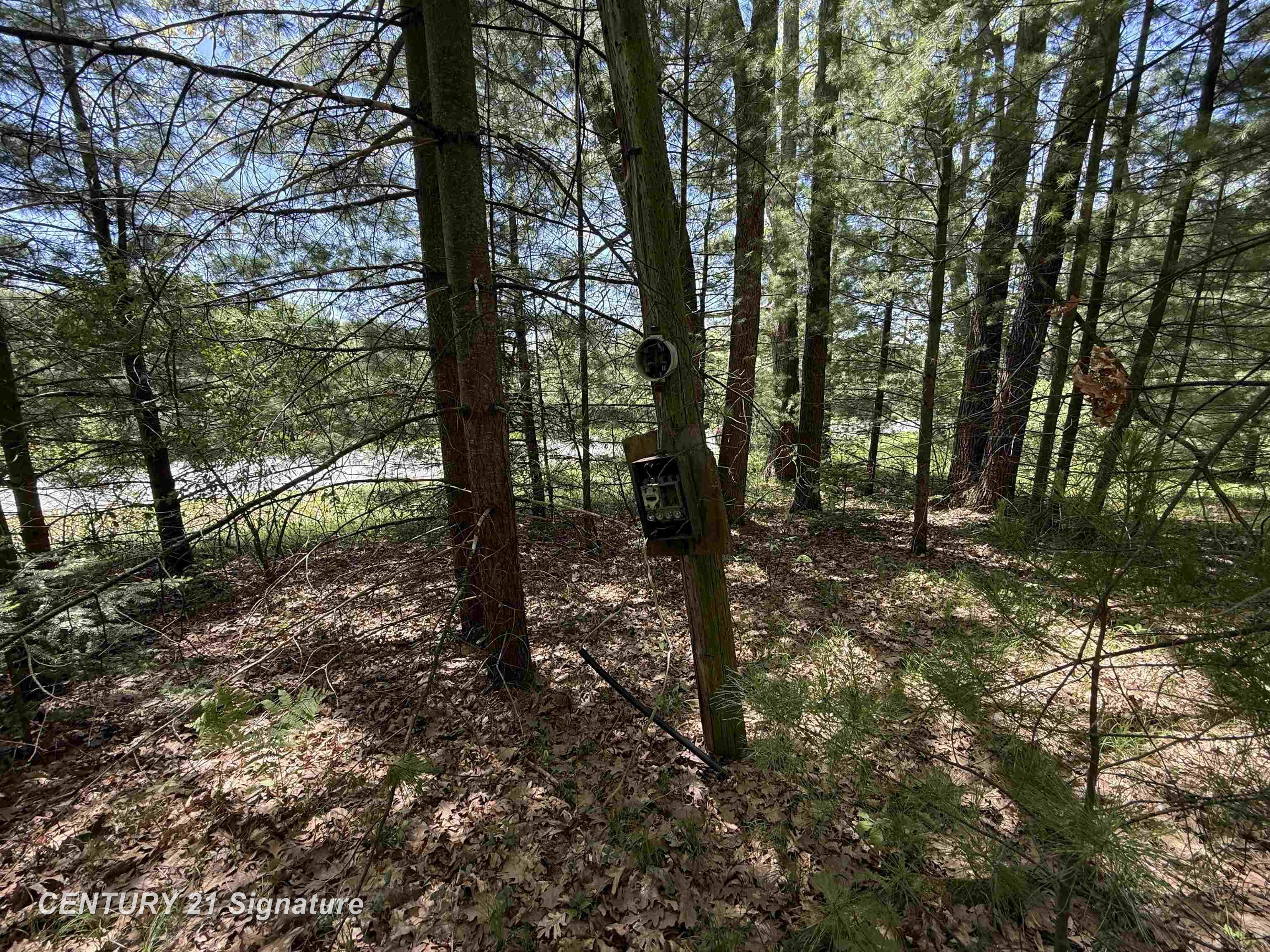 Homes for sale in Hayes Township Clare, MI | 981 E Cranberry Lake Rd, Hayes Township Clare, MI 48625 | MLS# 61050209536