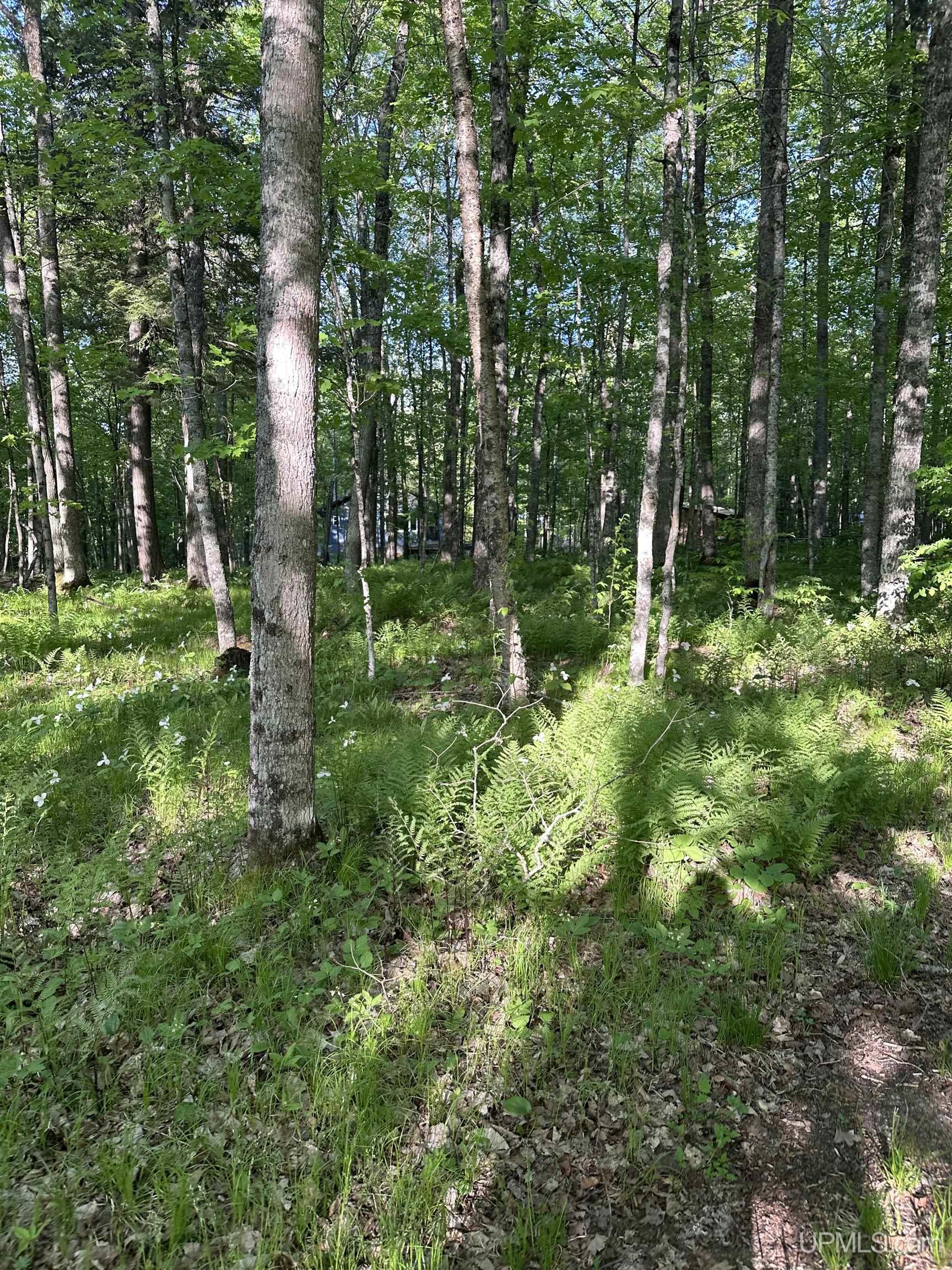 MLS 50209587 Large photo number 20 