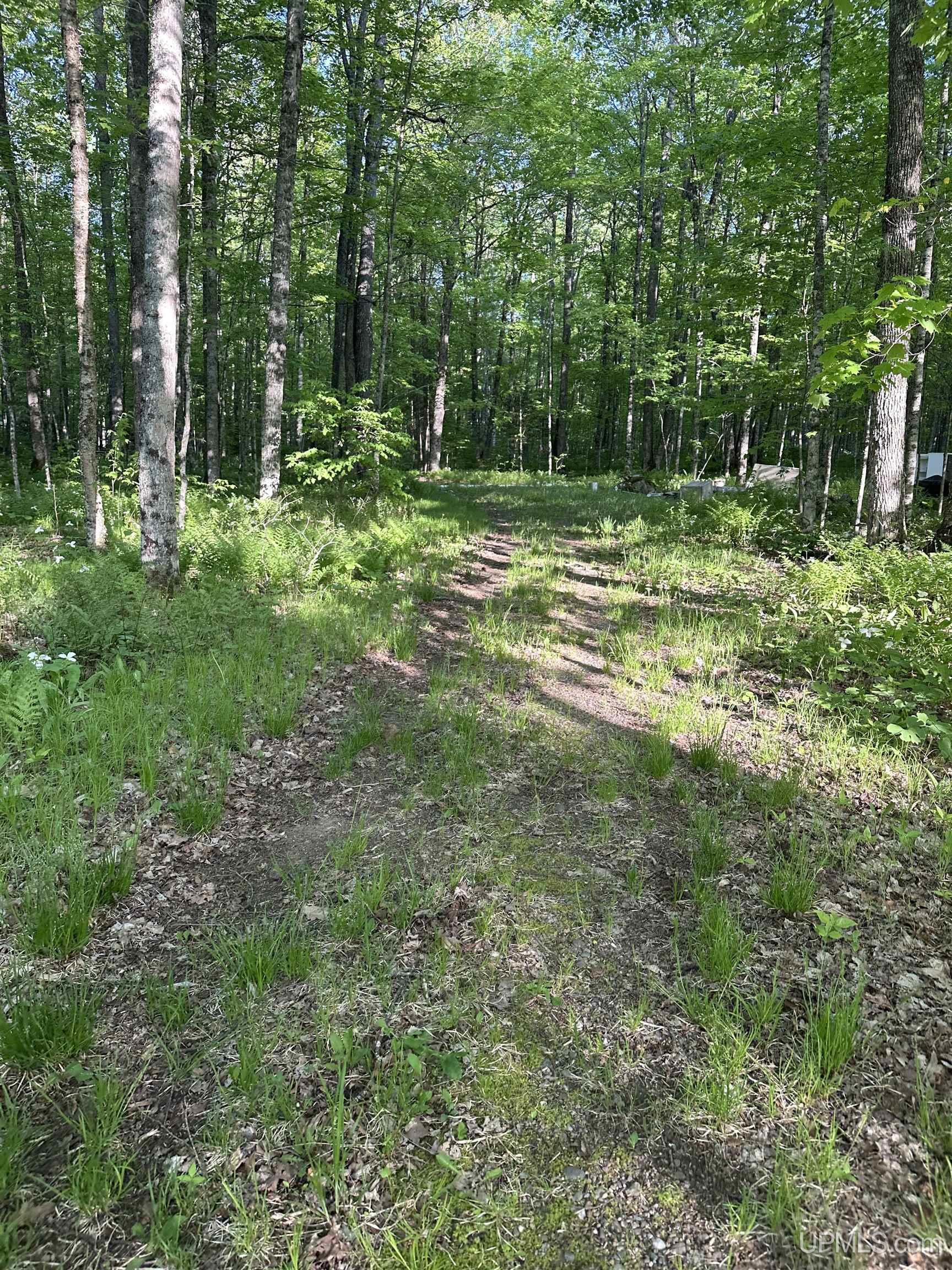 MLS 50209587 Large photo number 21 