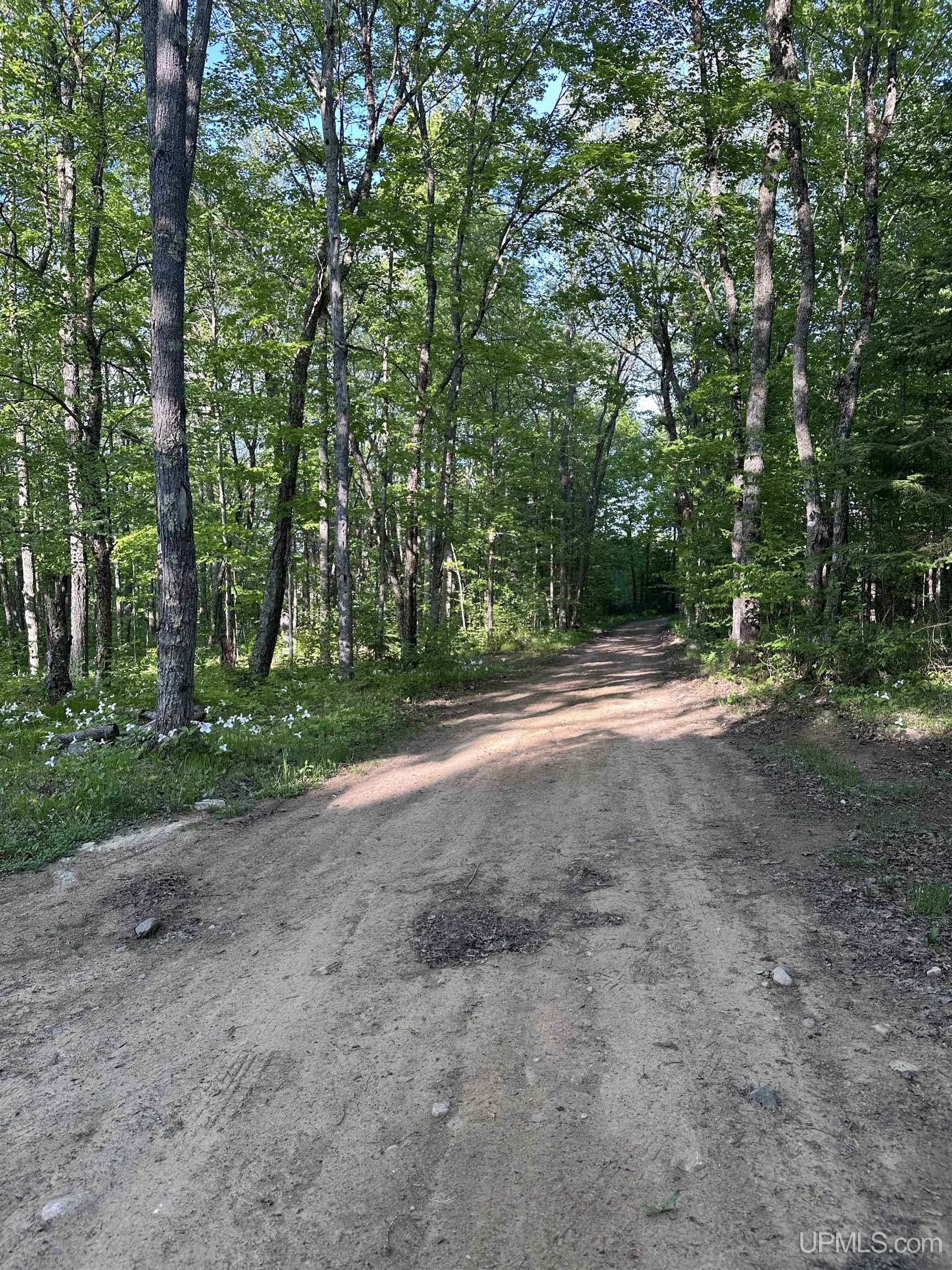 MLS 50209587 Large photo number 4 