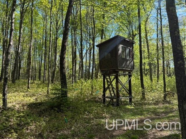 MLS 50209629 Large photo number 56 