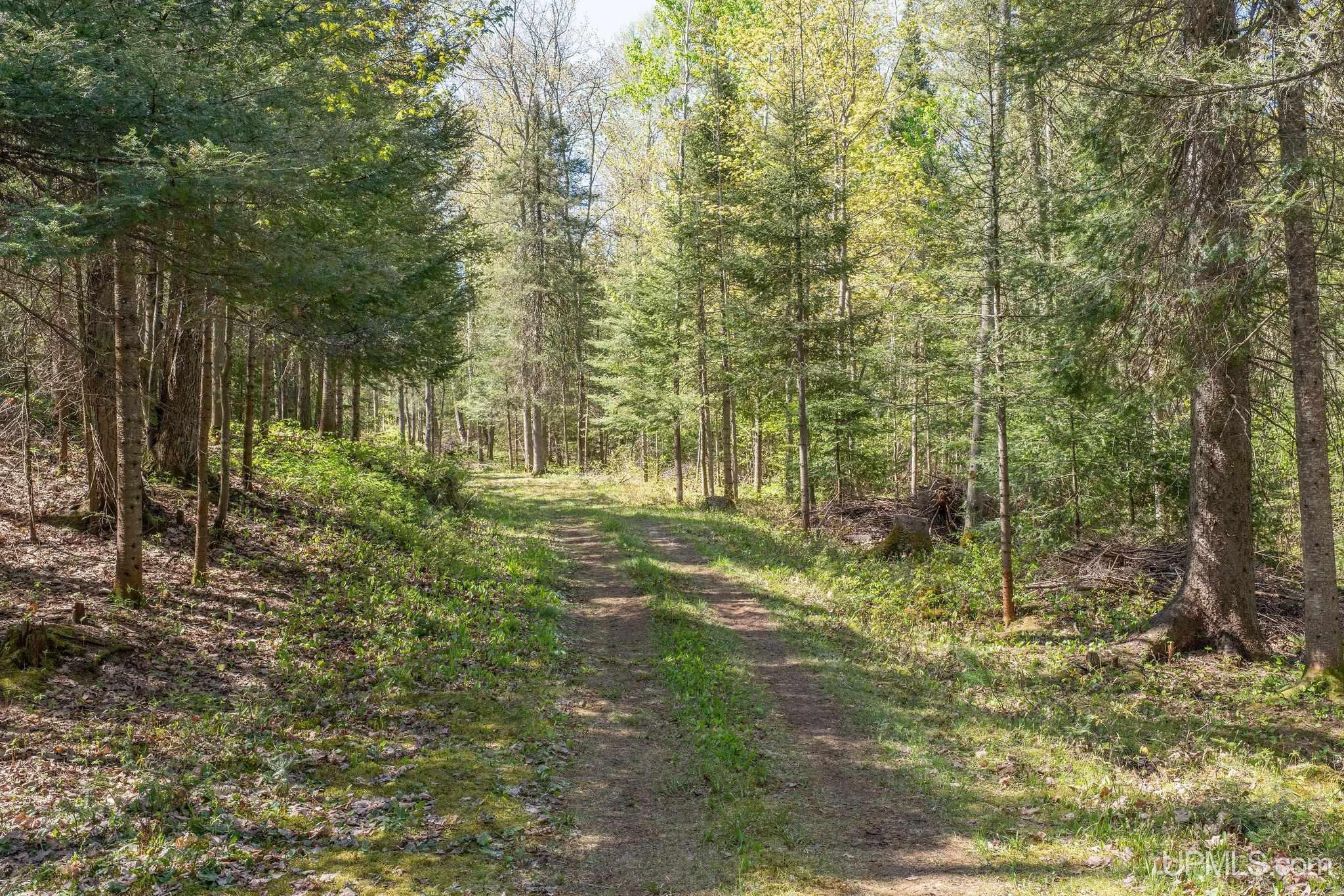 MLS 50209629 Large photo number 62 