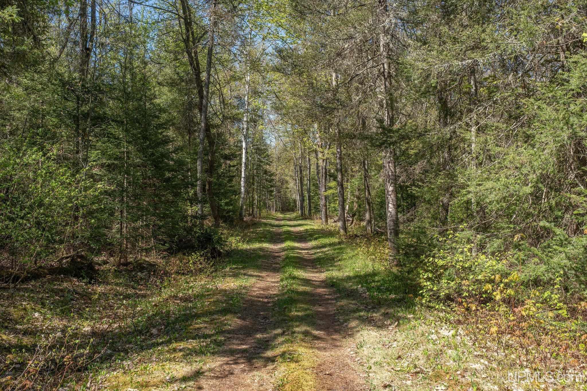 MLS 50209629 Large photo number 63 