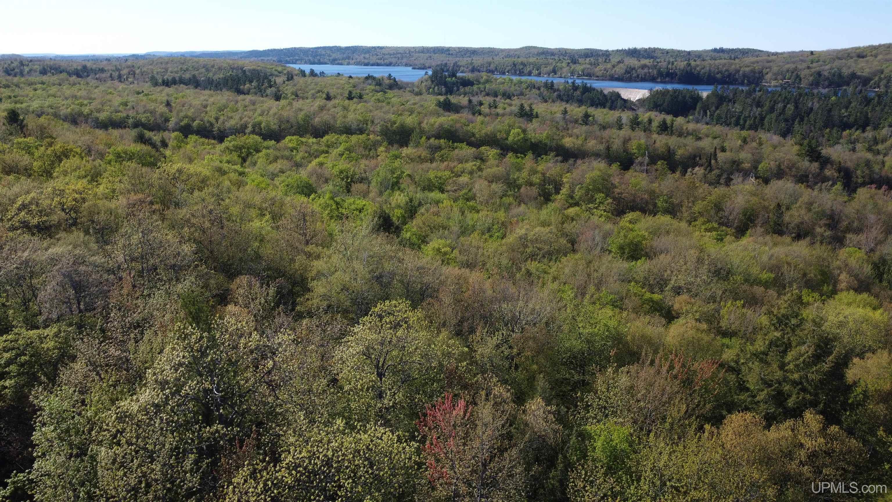 Off Hoist Road, Negaunee MI 49866, 50209665