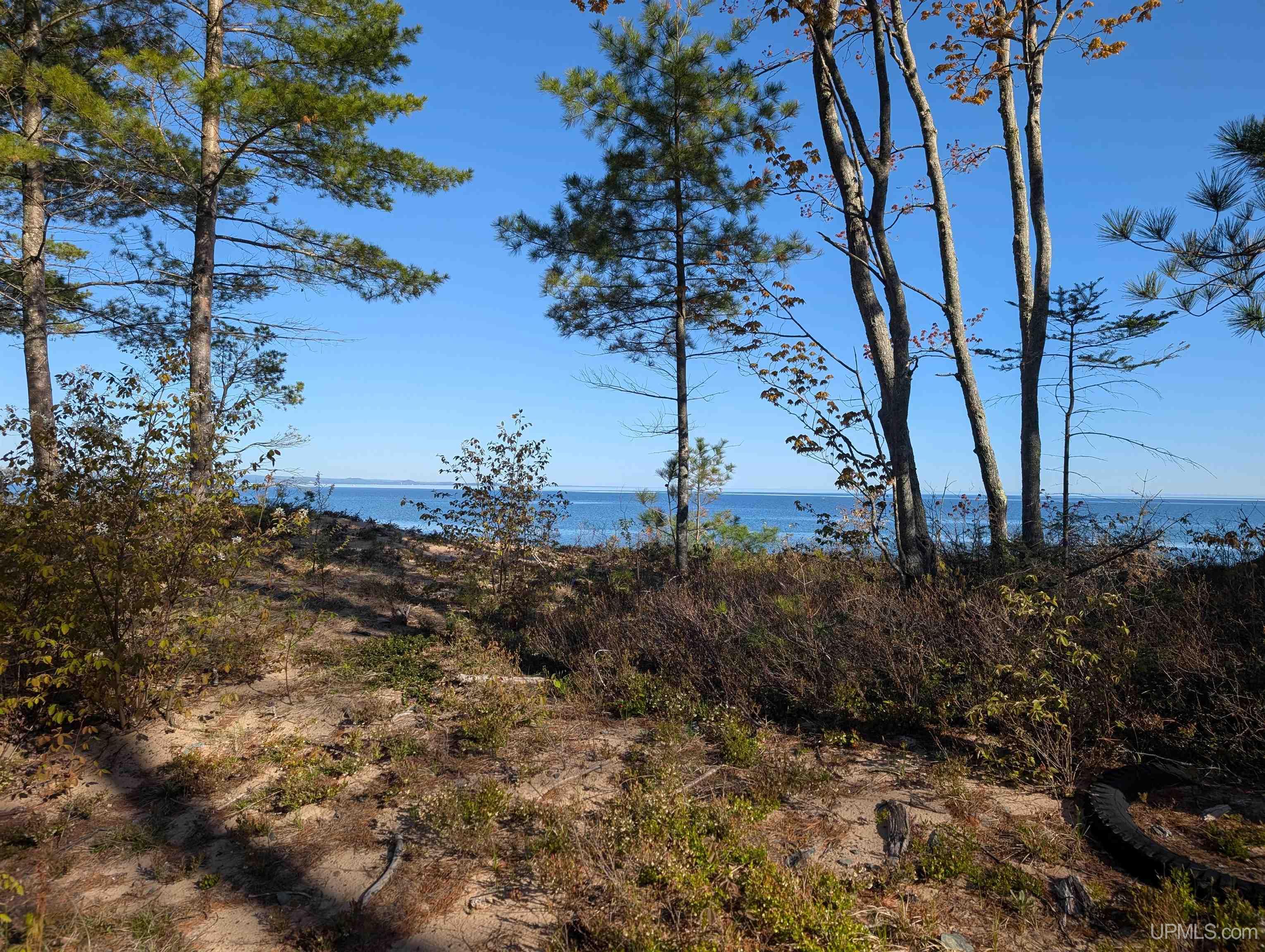 MLS 50209686 Large photo number 5 