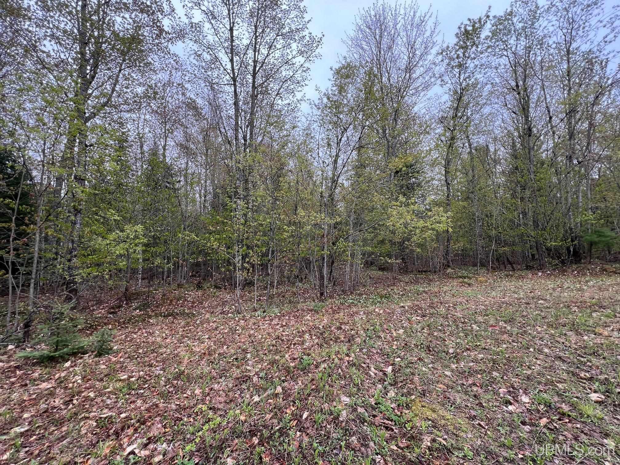 TBD Harborview Unit 7 Drive, Munising MI 49862, 50209707