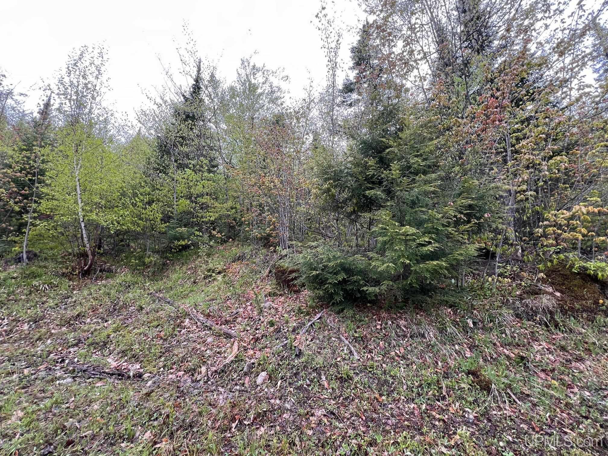 TBD Harborview Unit 11 Drive, Munising MI 49862, 50209716
