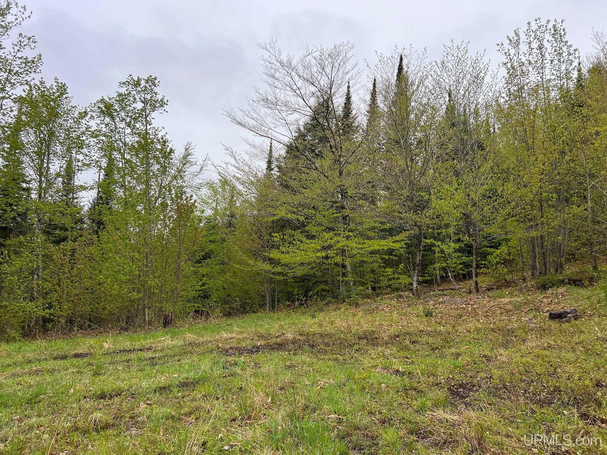 TBD Harborview Lot 12 Drive, Munising MI 49862, 50209718