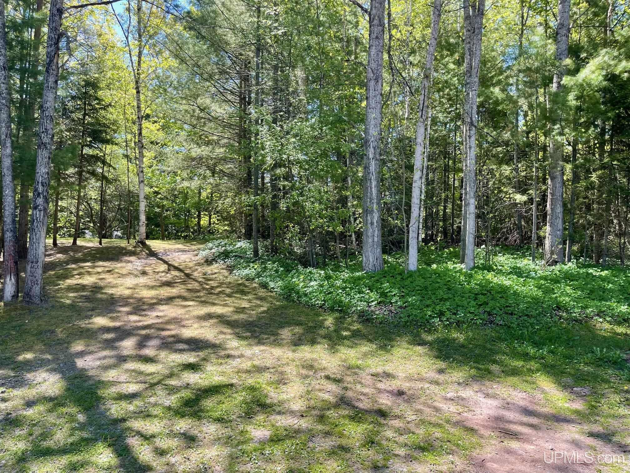 MLS 50209738 Large photo number 3 