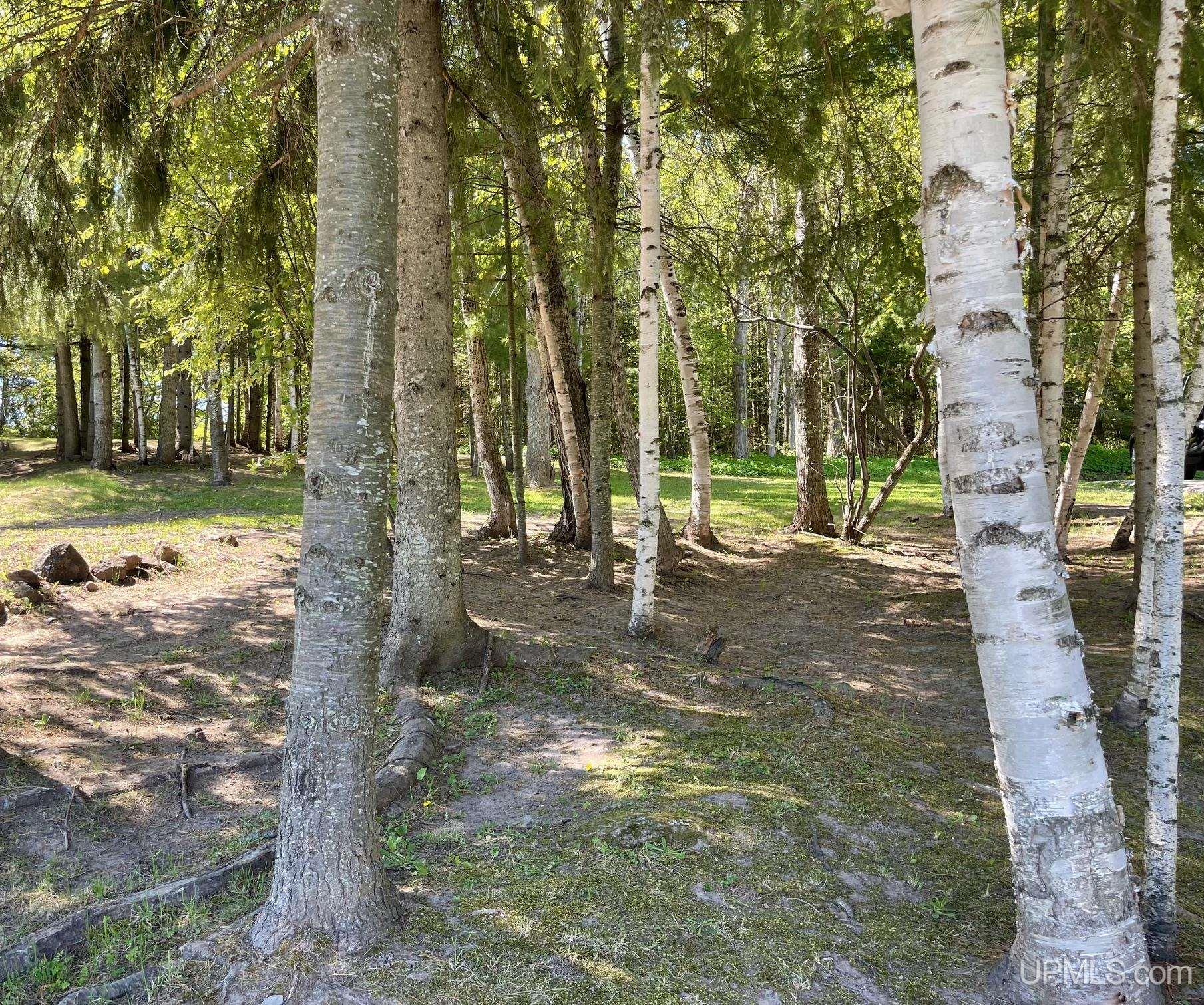 MLS 50209738 Large photo number 4 