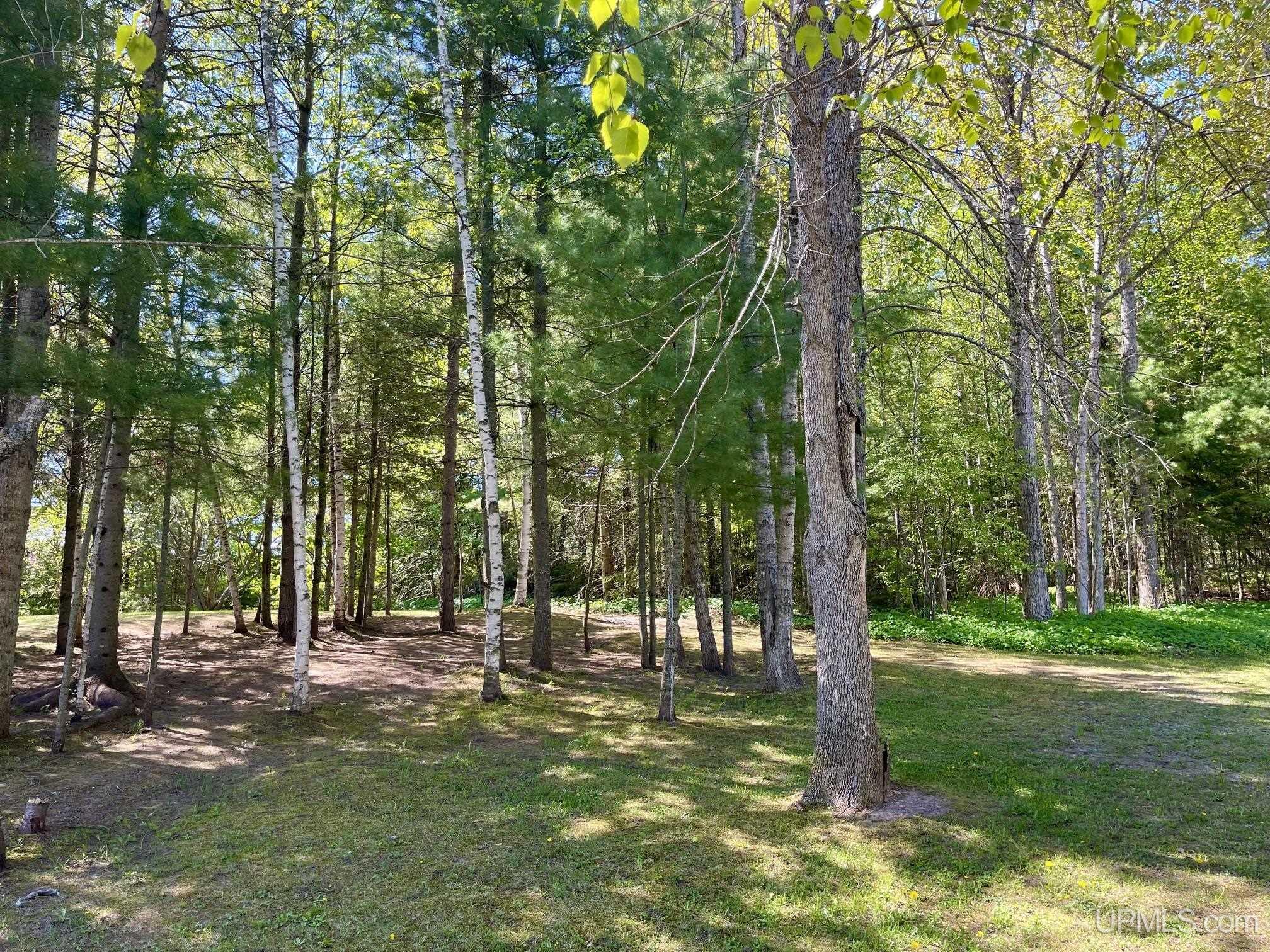 MLS 50209738 Large photo number 5 