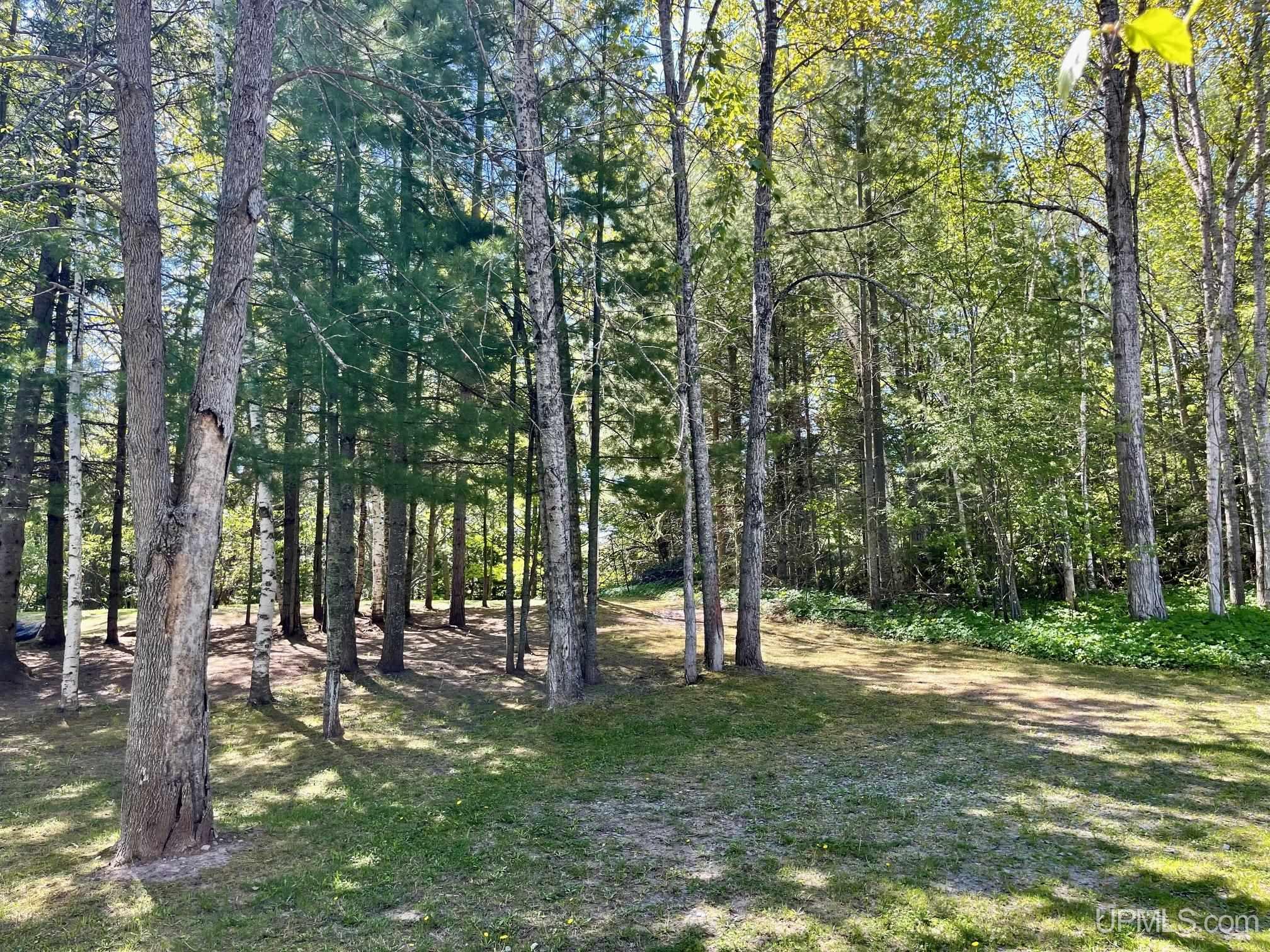 MLS 50209738 Large photo number 6 