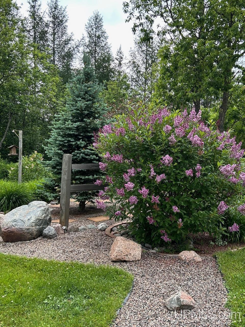 MLS 50209757 Large photo number 12 