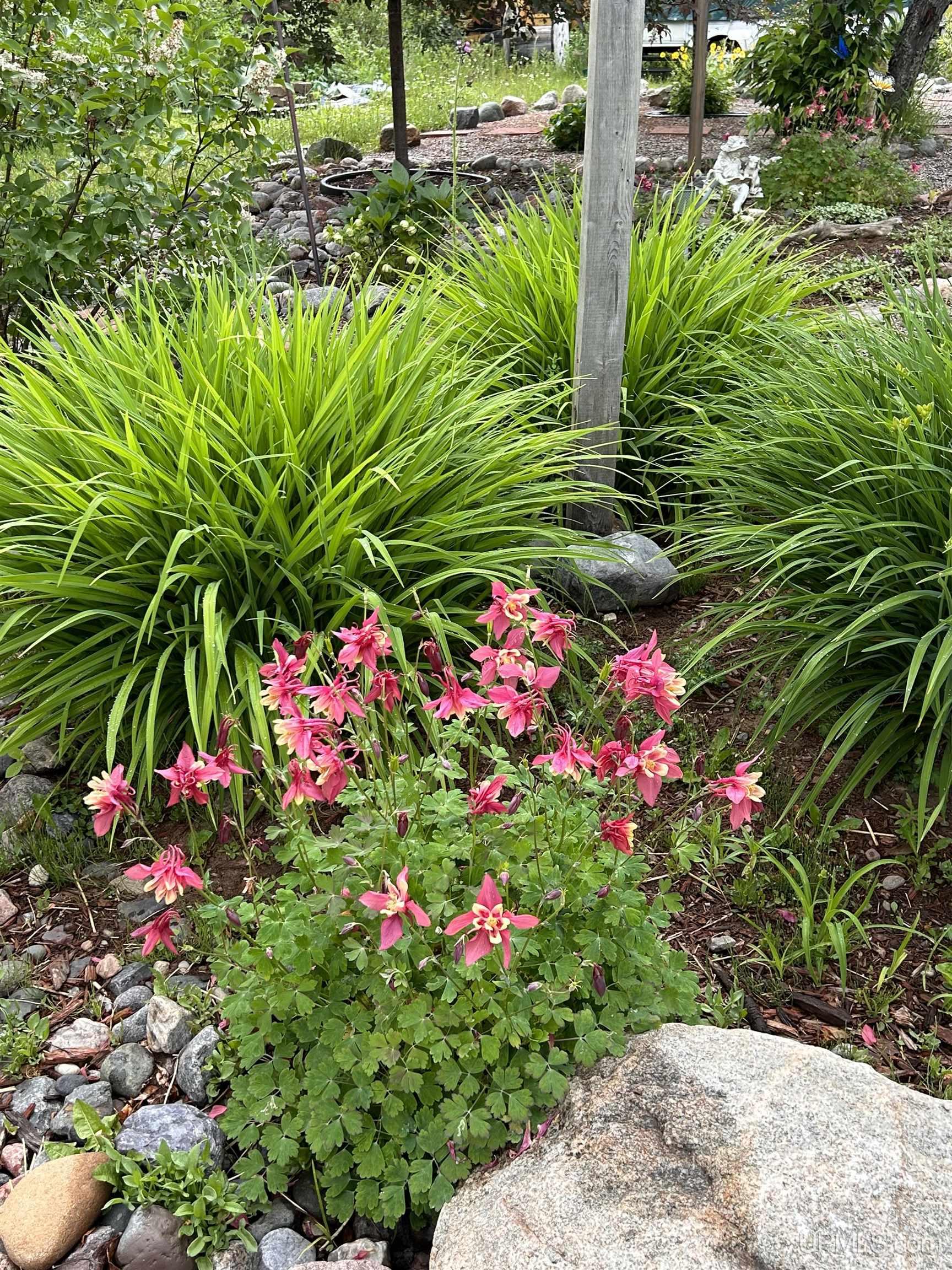 MLS 50209757 Large photo number 81 
