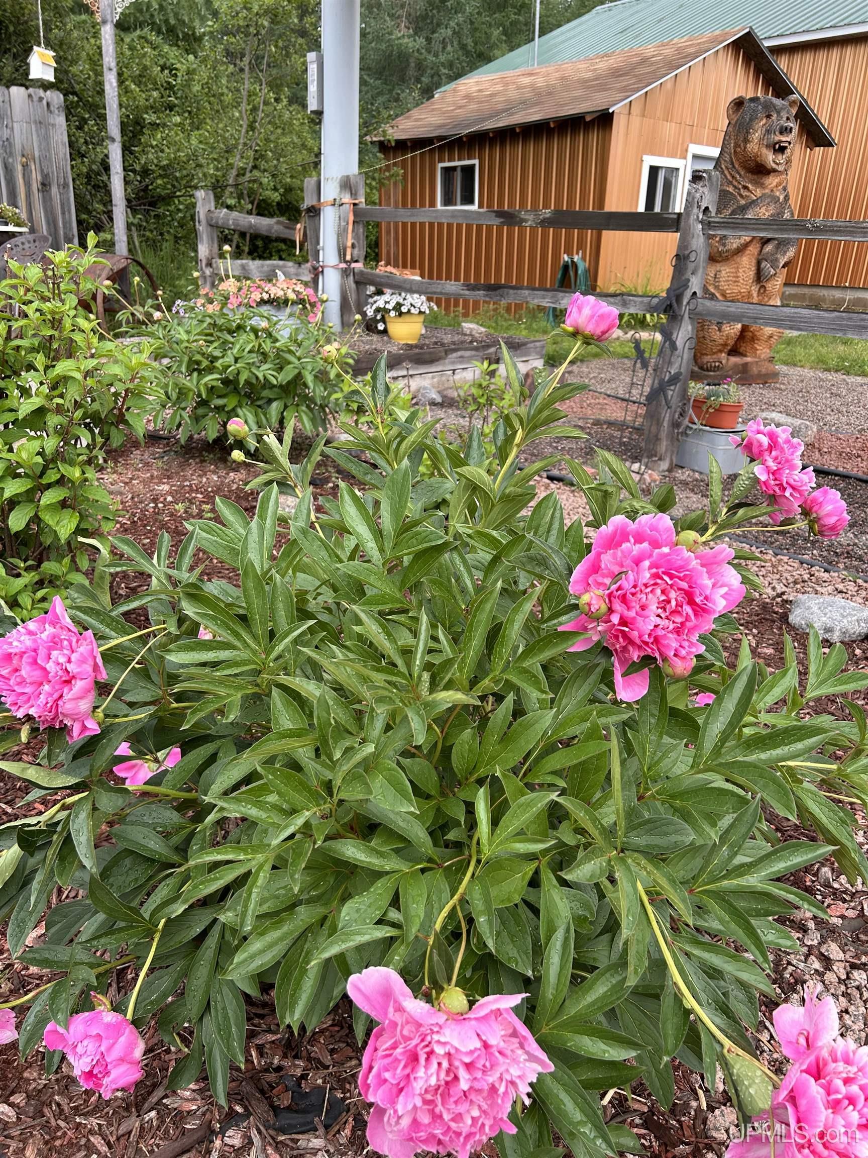 MLS 50209757 Large photo number 89 