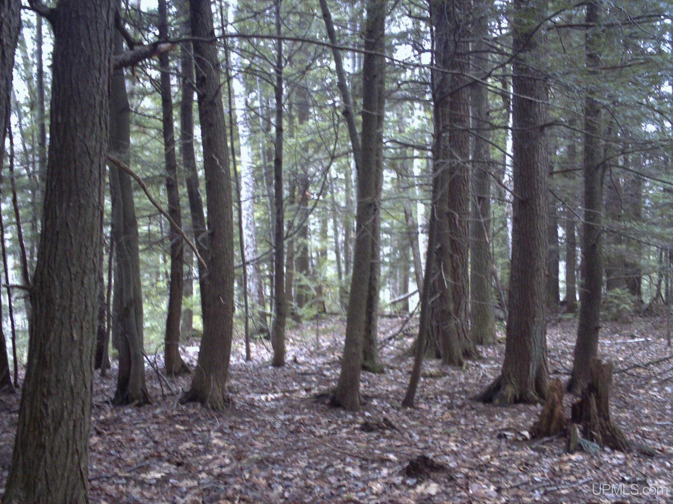 MLS 50209846 Large photo number 71 