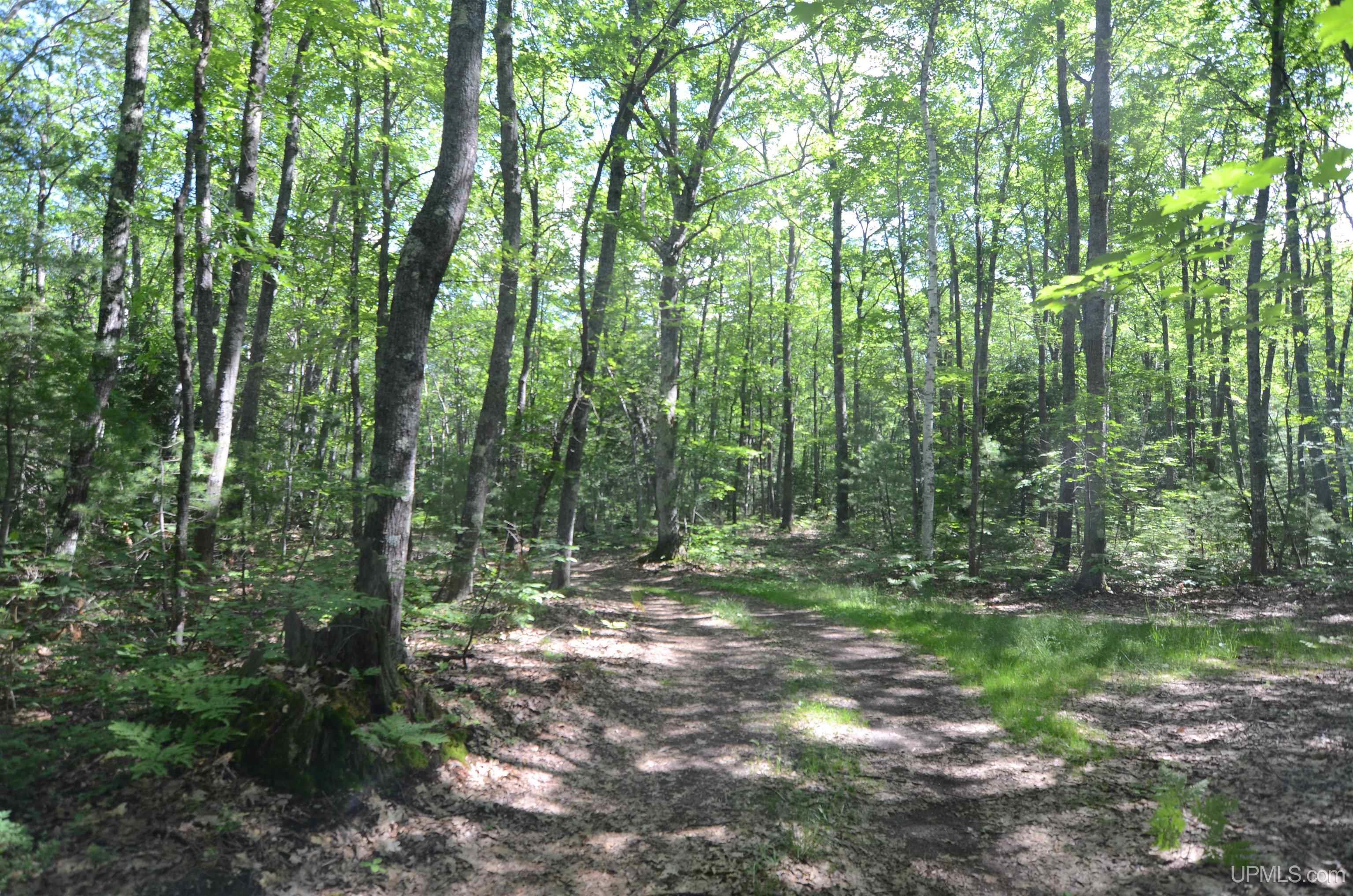 MLS 50209846 Large photo number 73 