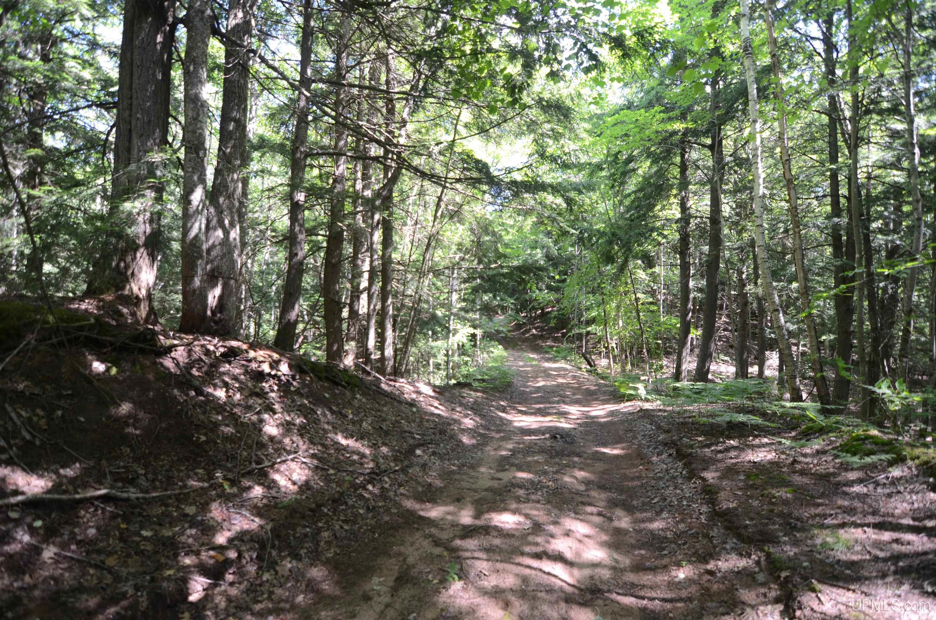 MLS 50209846 Large photo number 76 